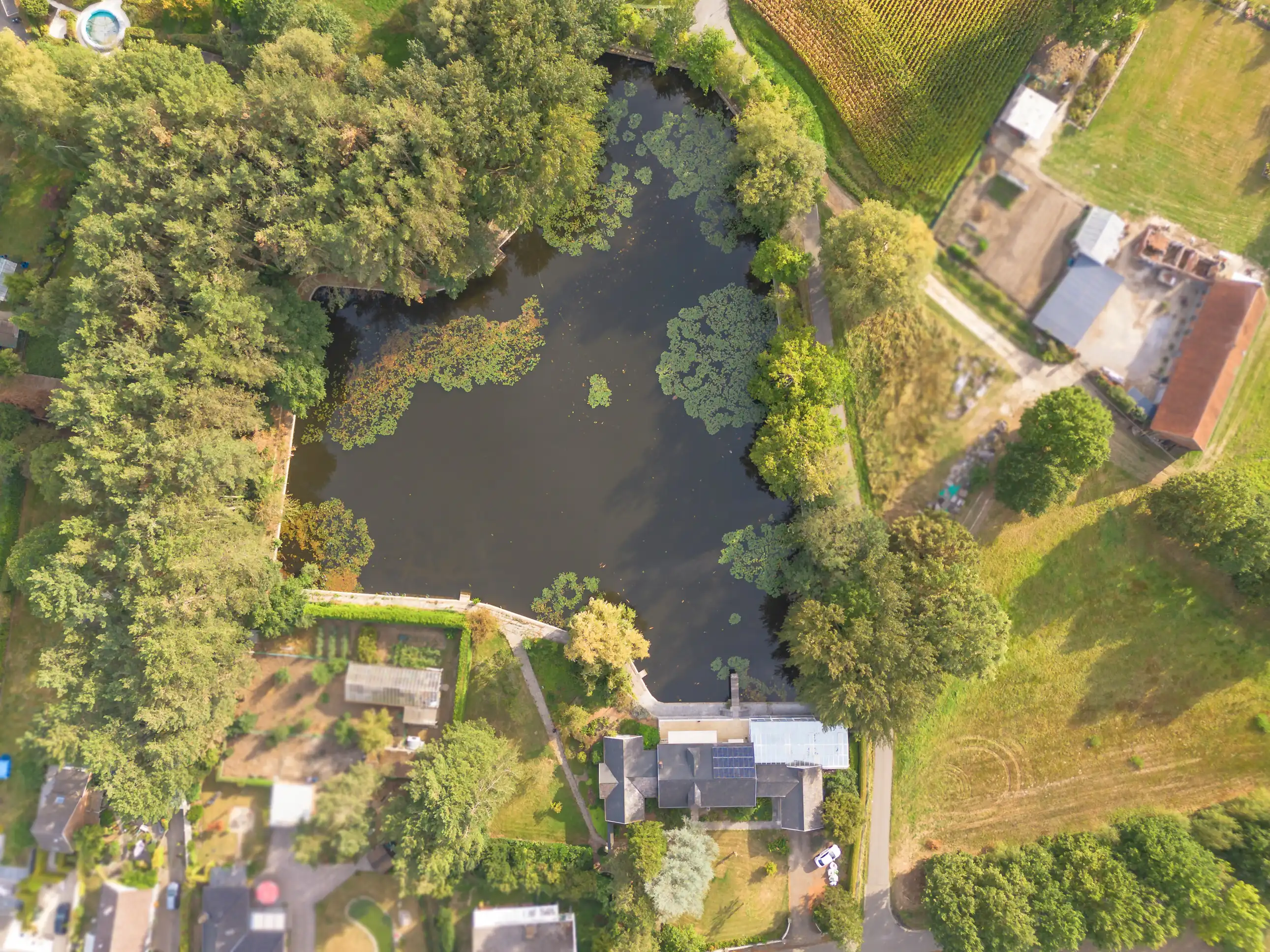 Exclusieve paviljoenvilla met private vijver en vissershuis in Haacht foto 21