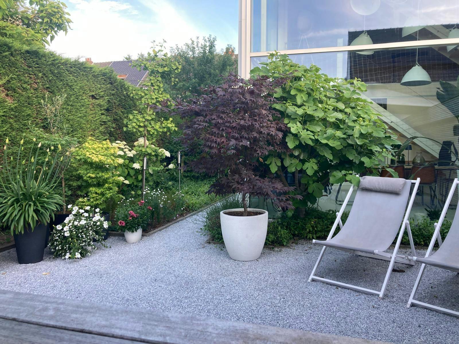 Recent modern huis te koop in hartje Waregem foto 33