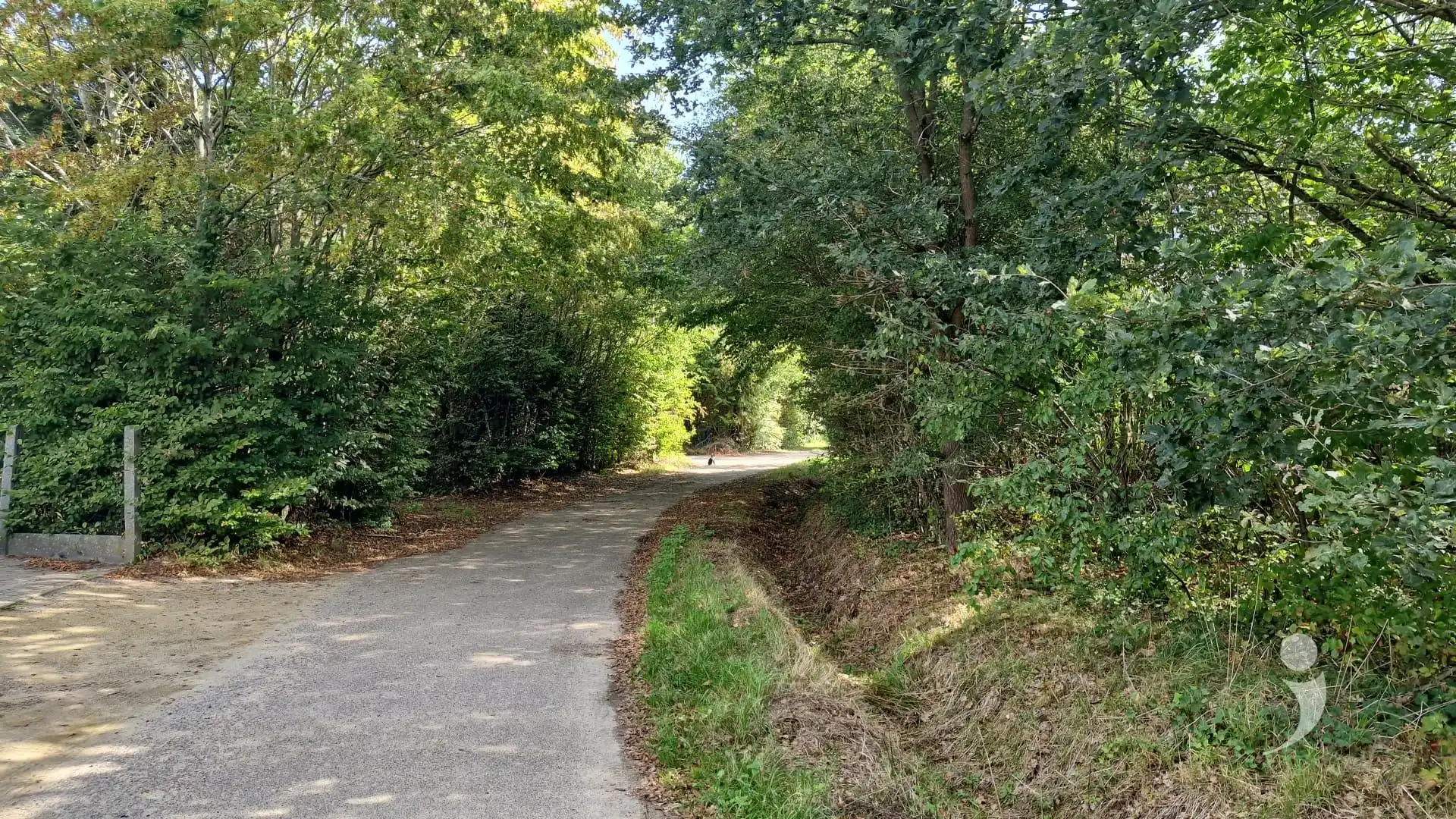 Rustig gelegen bouwgrond te Langdorp! foto 3