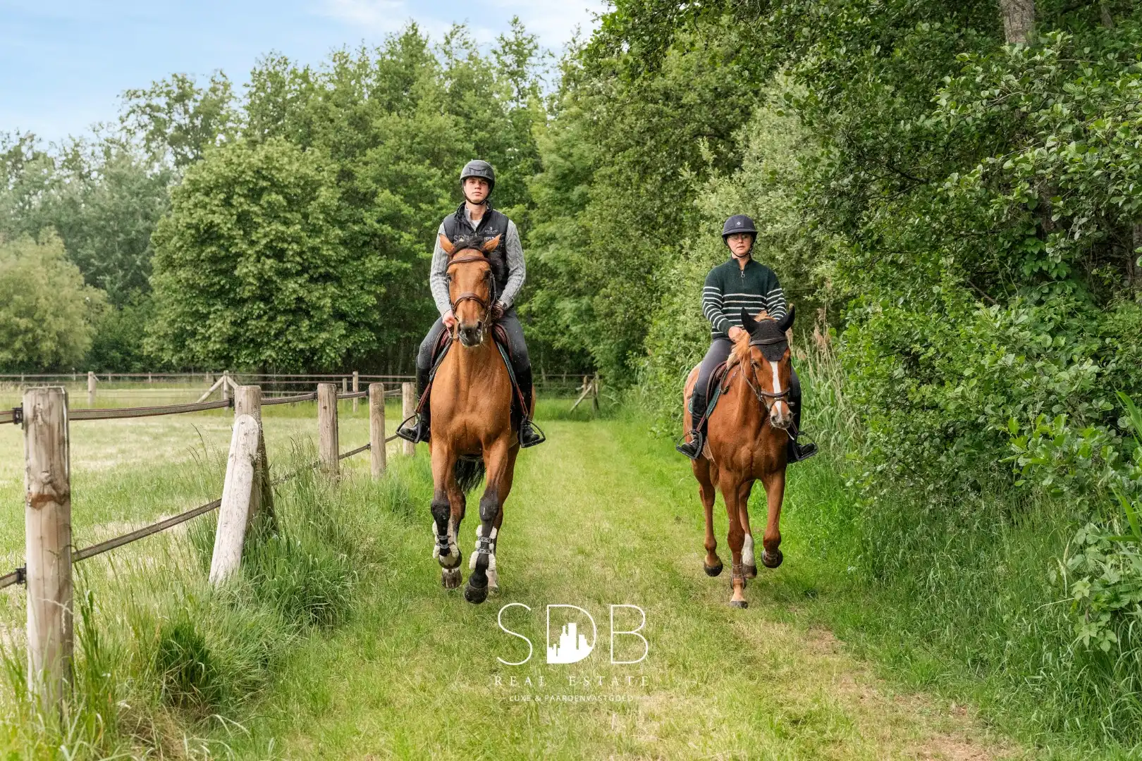 Prachtige villa met hippische accommodatie en graslanden mogelijkheid tot 23 ha foto 46