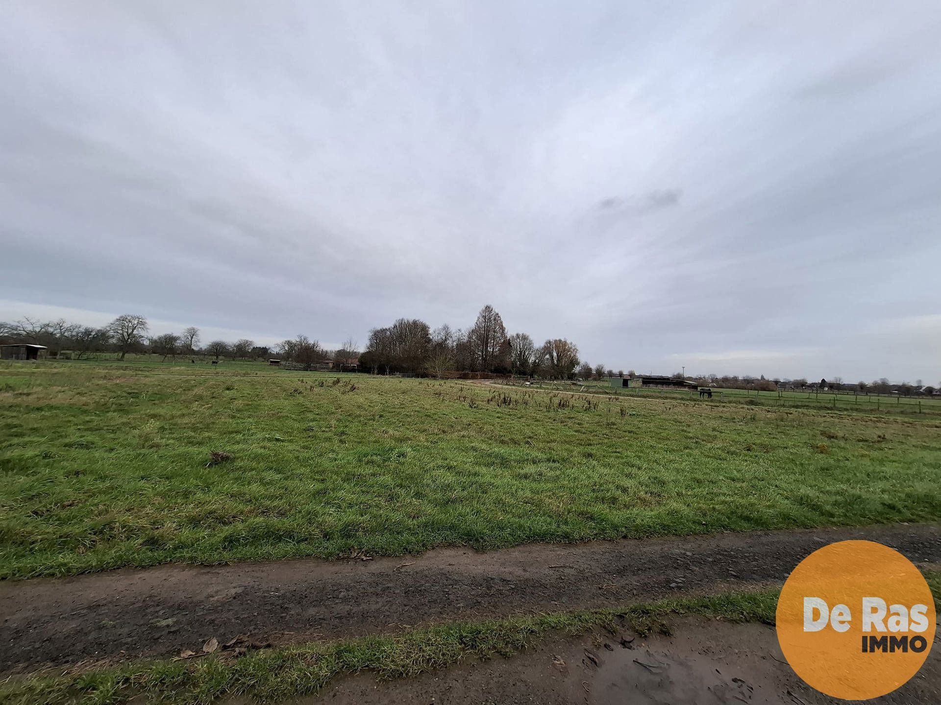 HAALTERT– Perceel weiland van 35a 76ca foto 4