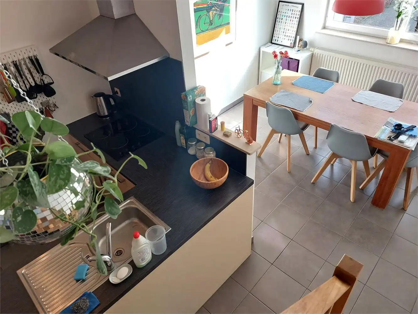 Prachtig duplex appartement / 2 slkms / terras / stadsrand foto 14