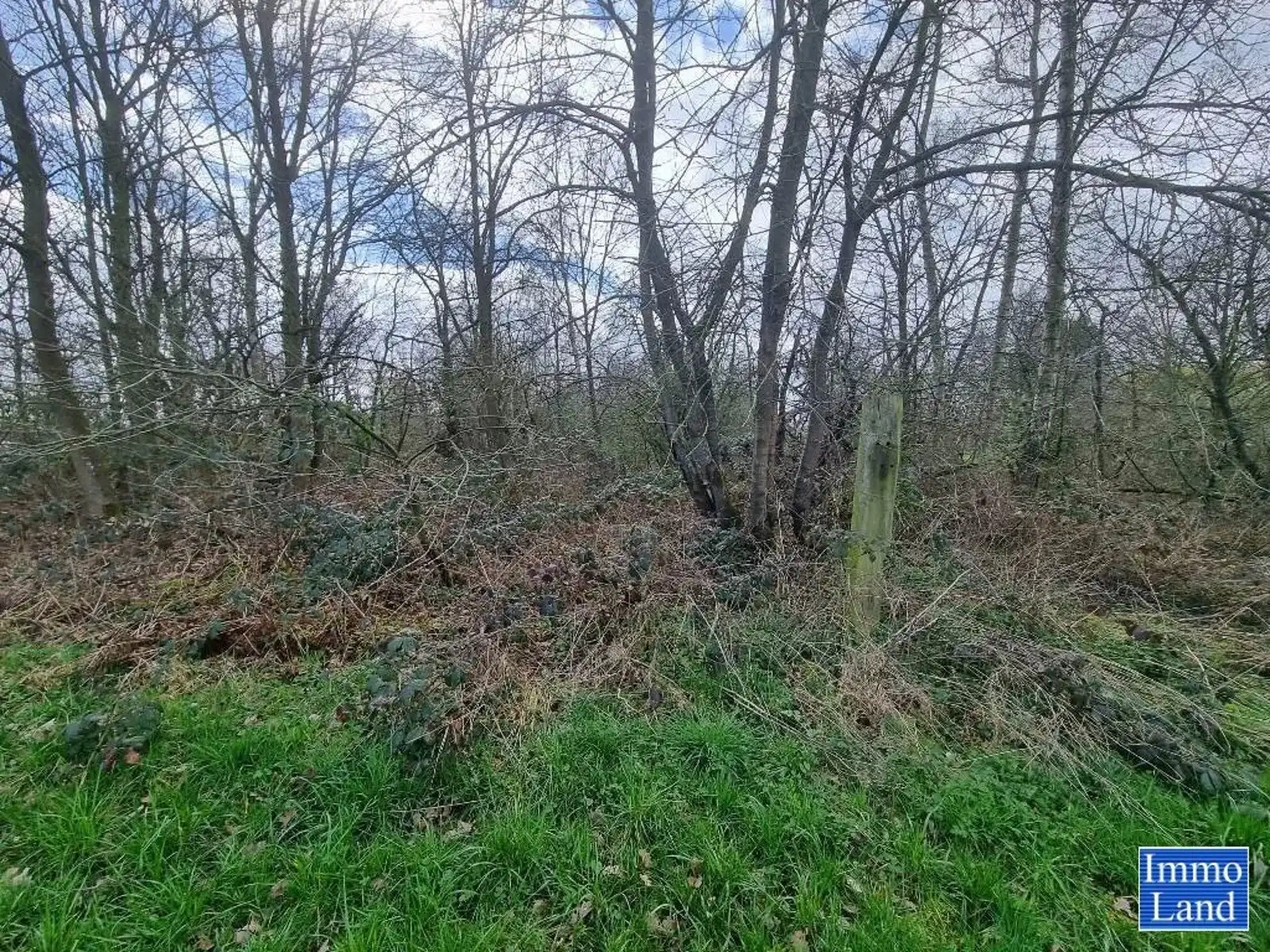 Perceel grond van 75are, gelegen in agrarisch gebied op de grens Hasselt - Diepenbeek, omgeving Mombeekdreef. foto 11