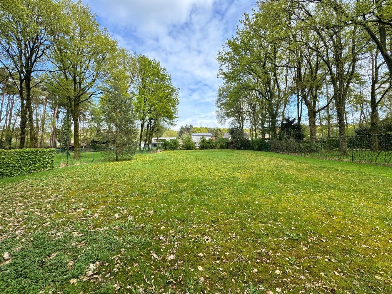 Een oase van rust en ruimte in het groen – Hoogstraat 87, Zutendaal foto 24