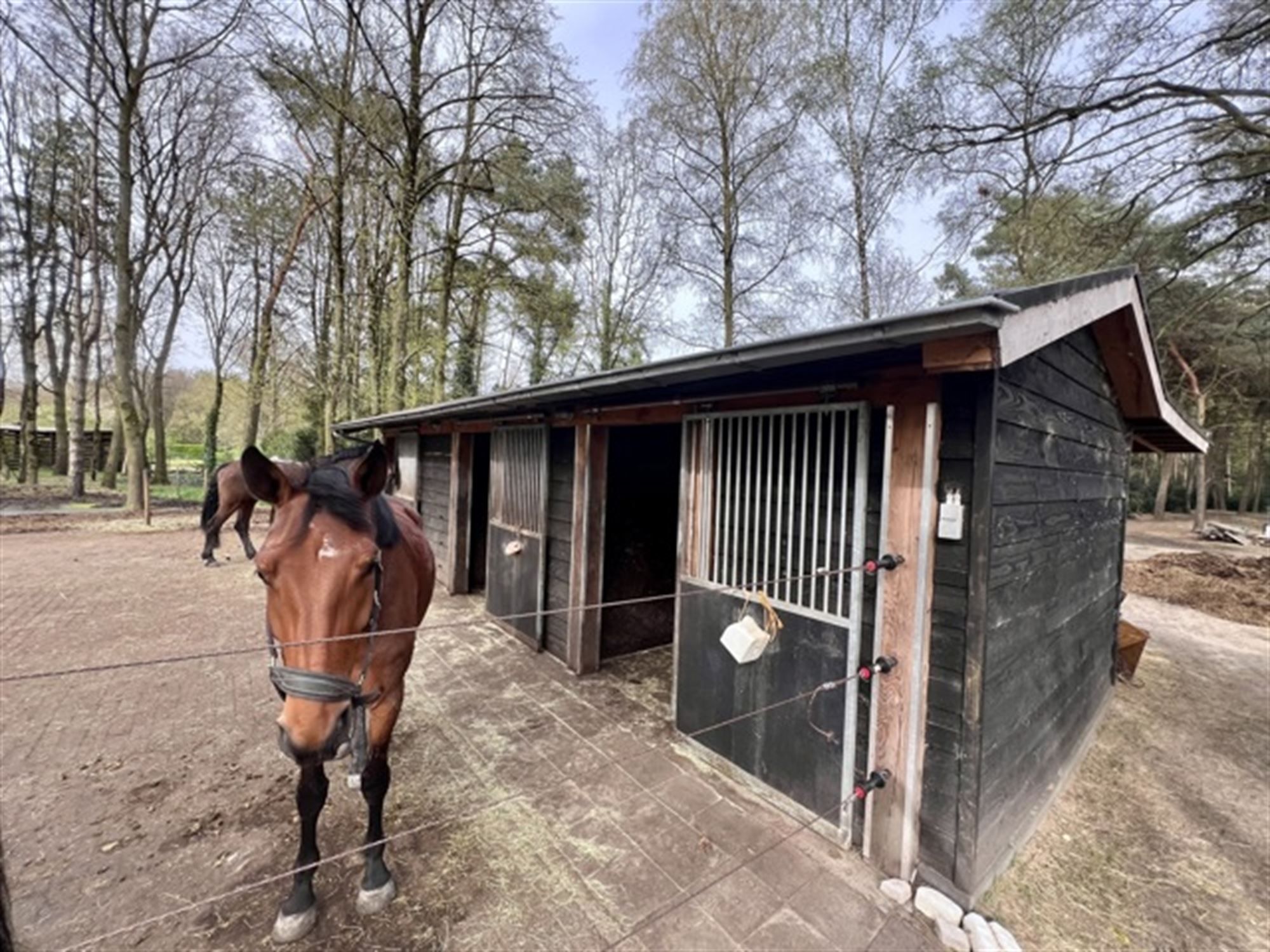 Gerenoveerd enorm landhuis op ongeveer 3 ha foto 41