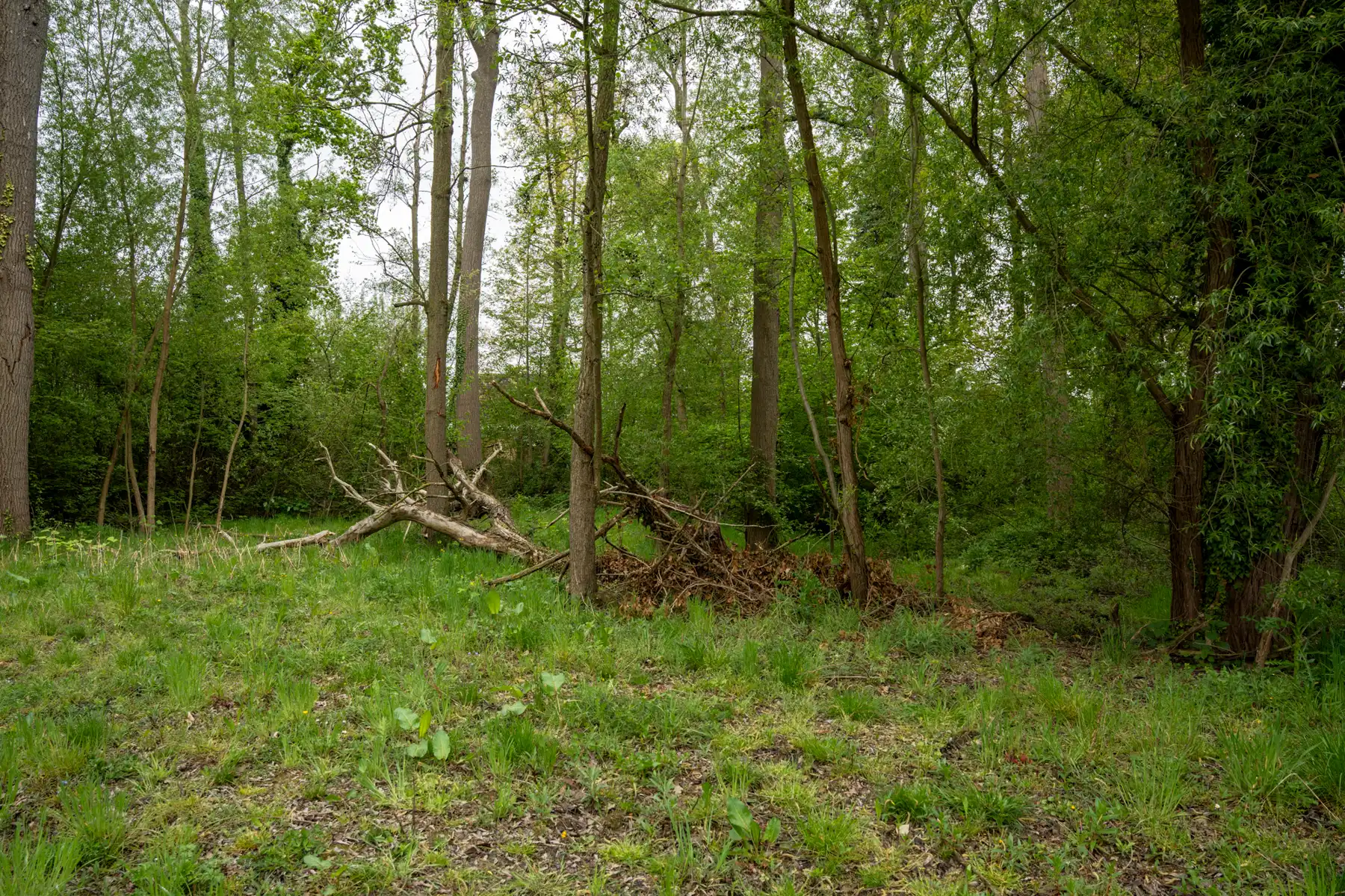 Grond te koop foto 3