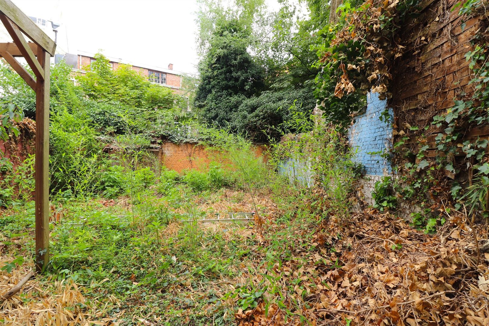 Kantoor met tuin aan KMSKA foto 14