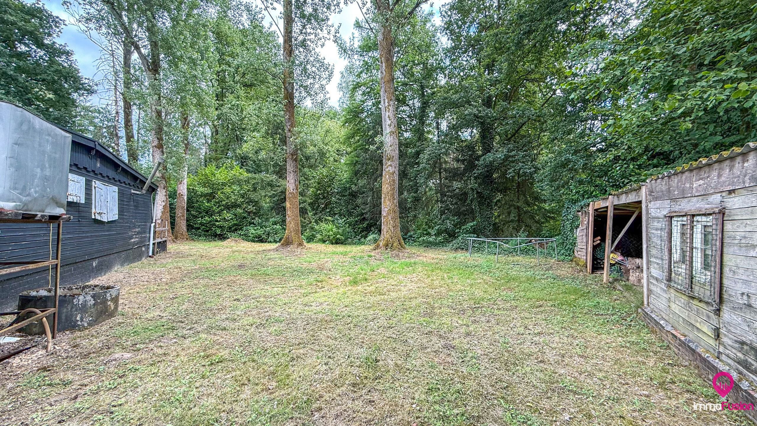 Droom buitenverblijf in Hasselt voor natuurliefhebbers!  foto 22