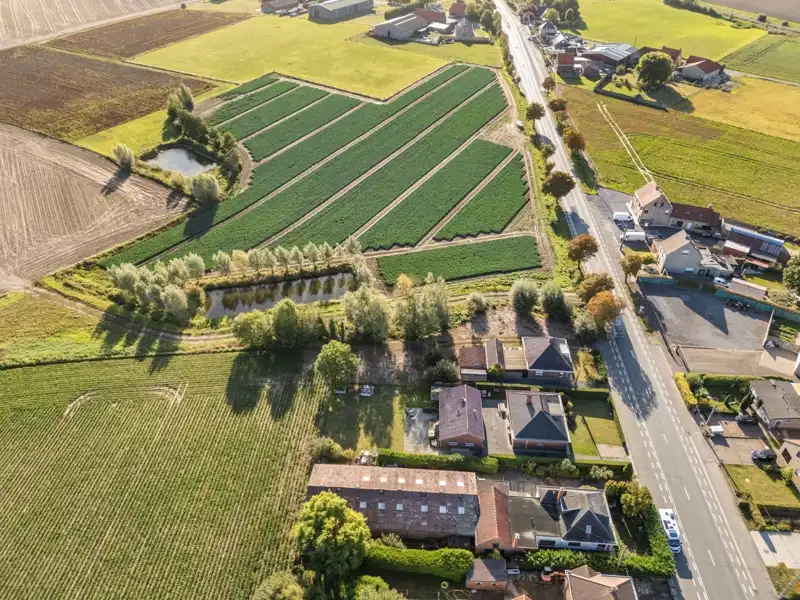 Centrum Sint-Henricus :  Groot perceel op 1876 m² foto 8