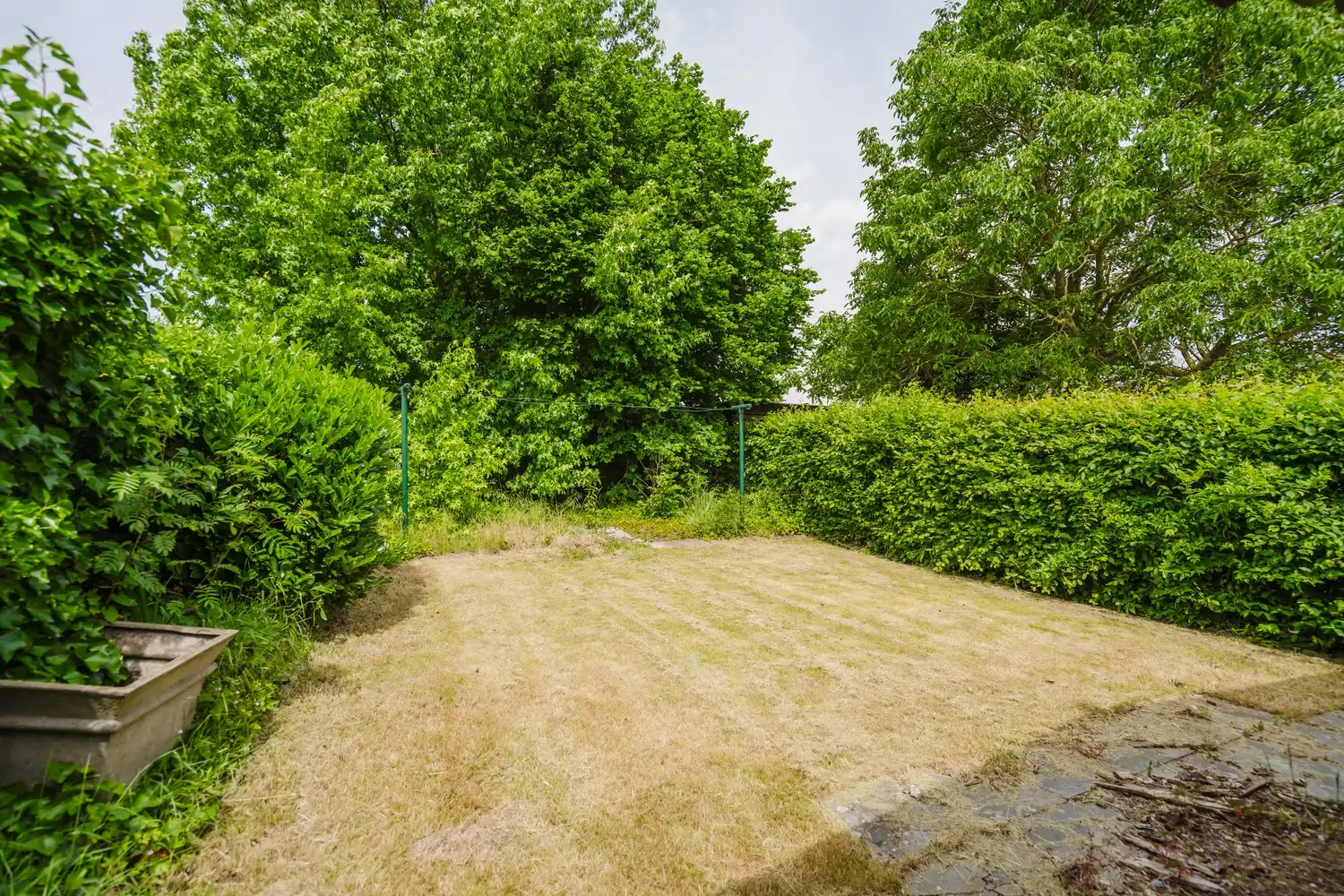 RUIMTE VOOR UW VERHAAL foto 14