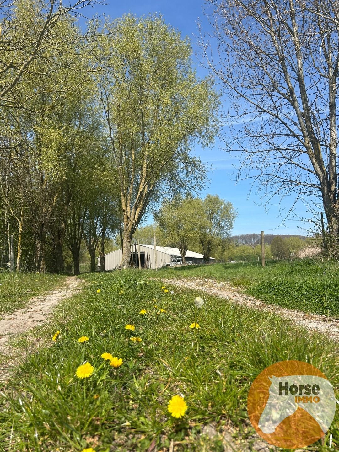 TOLLEMBEEK - Weide met loods op rustige locatie foto 8