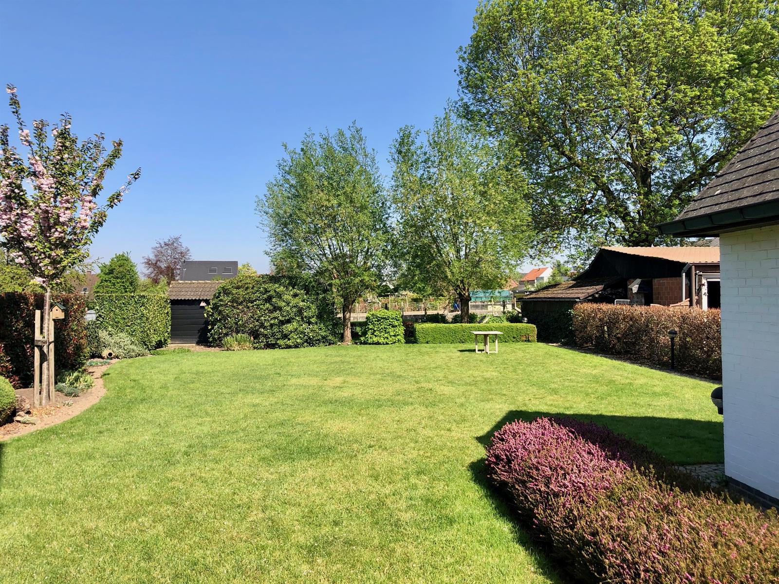 RUIME WONING MET 3 SLAAPKAMERS EN PRACHTIGE TUIN foto 2