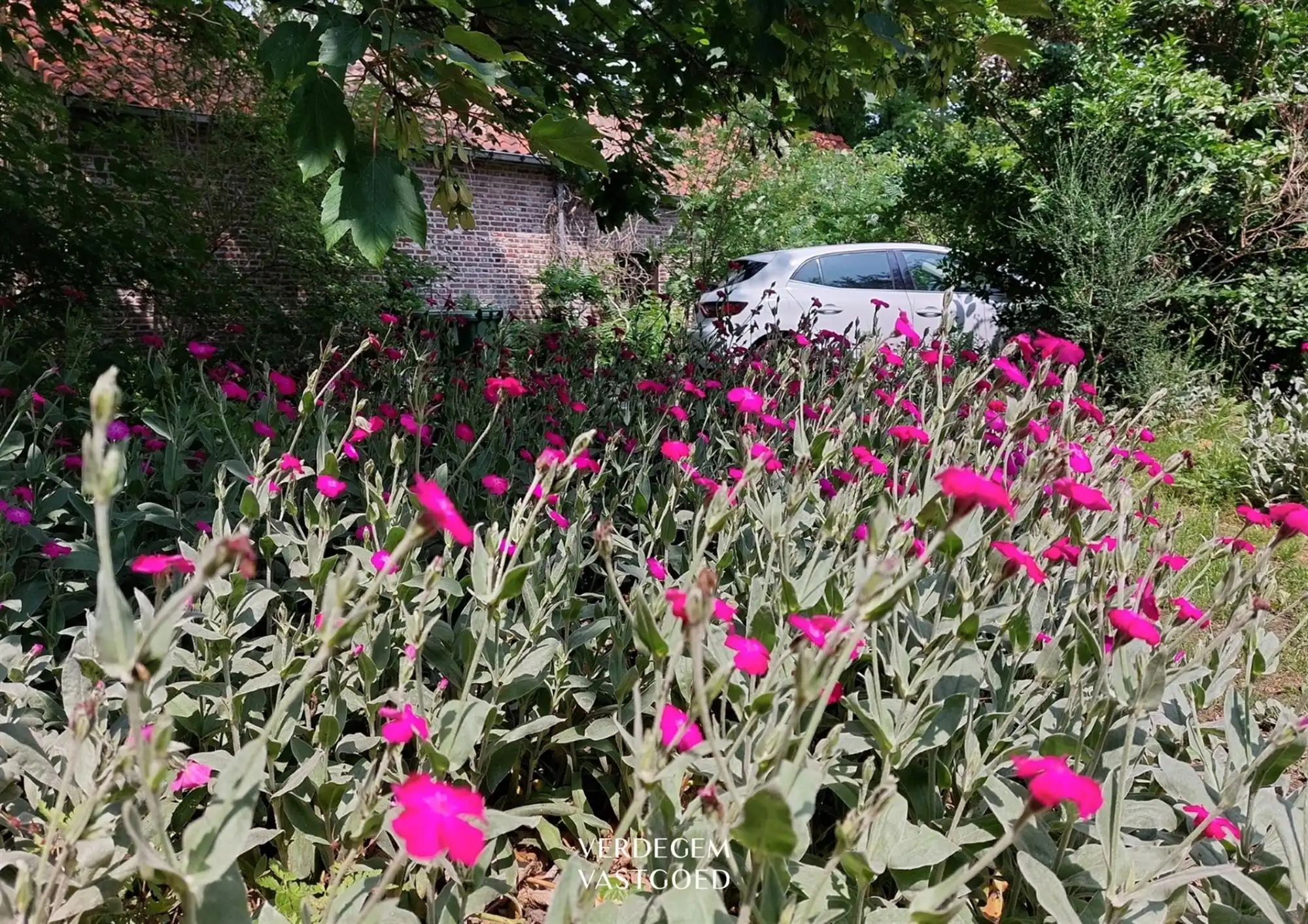 Rustig gelegen hoevewoning met volwassen tuin foto 4