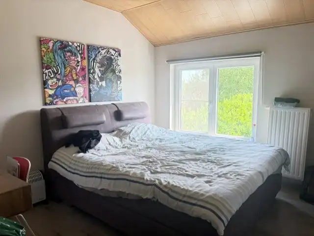 Woning te huur met 3 slaapkamers, terras, tuin en tuinhuis foto 12