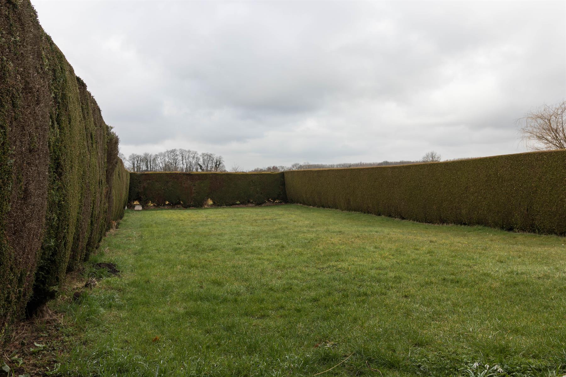 Huis te huur foto 6