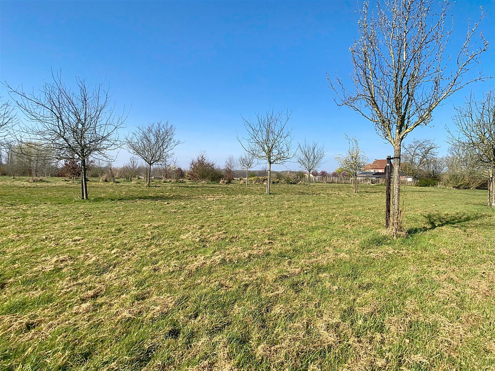 Charmante woning, 3 slpks, garage, weides, 1h 23a 72ca foto 36