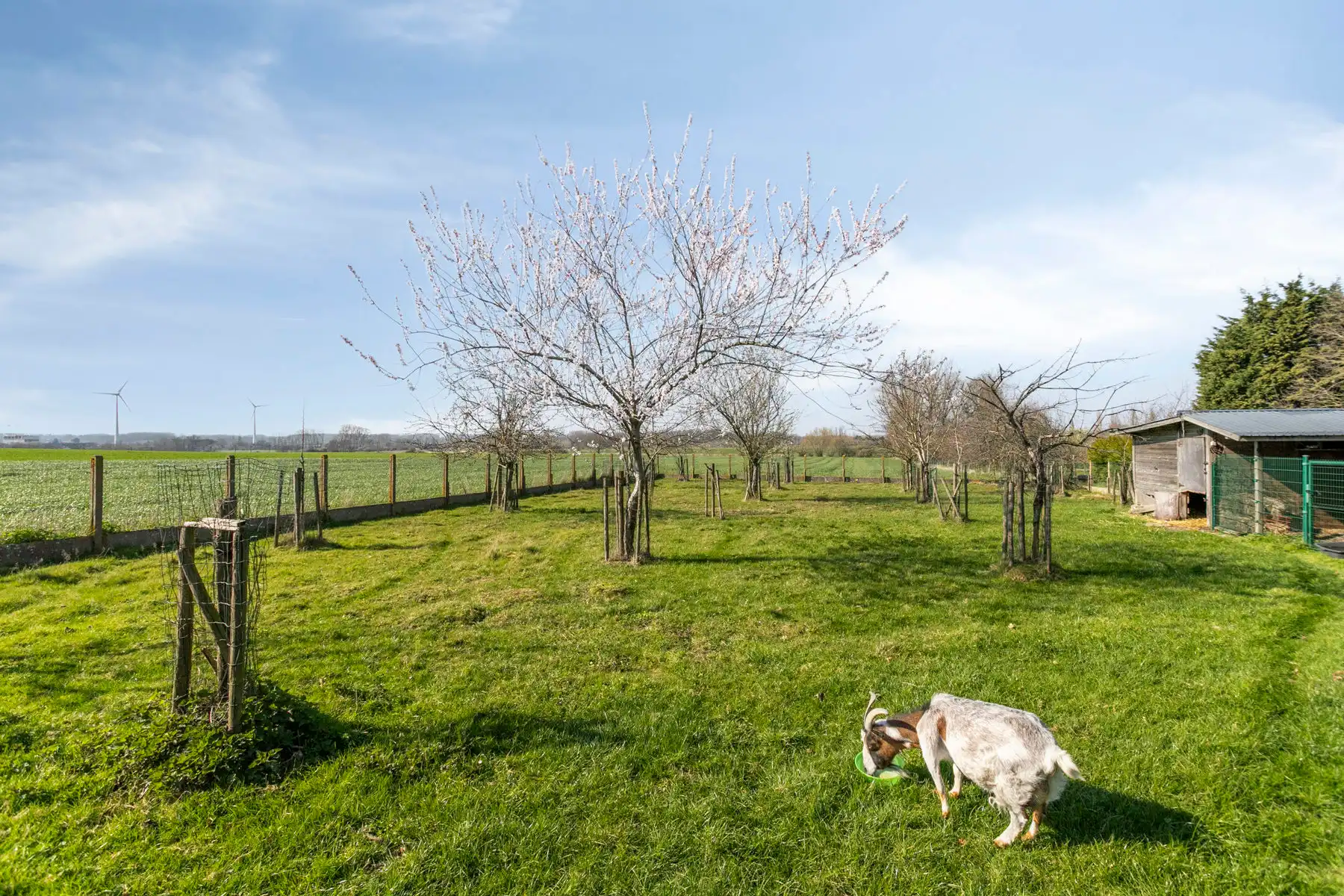 Villa met 4 slaapkamers en prachtig uitzicht op 2399 m² foto 28