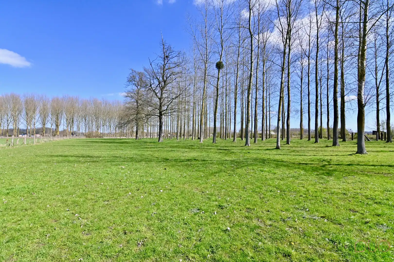 Gerenoveerd halfopen bebouwing op een prachtig perceel van 1h39a60ca inclusief weilanden foto 50