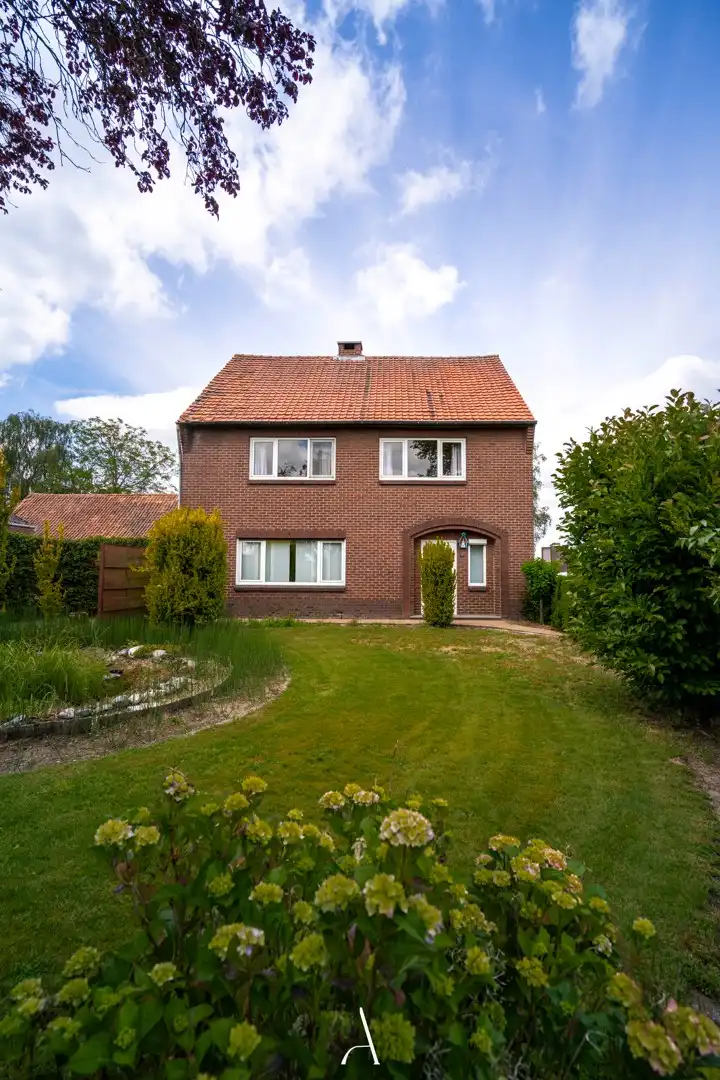 Karaktervolle hoeve-eigendom met drie afzonderlijke gebouwen op ca. 2.323 m² in landelijke omgeving van Kinrooi foto 11