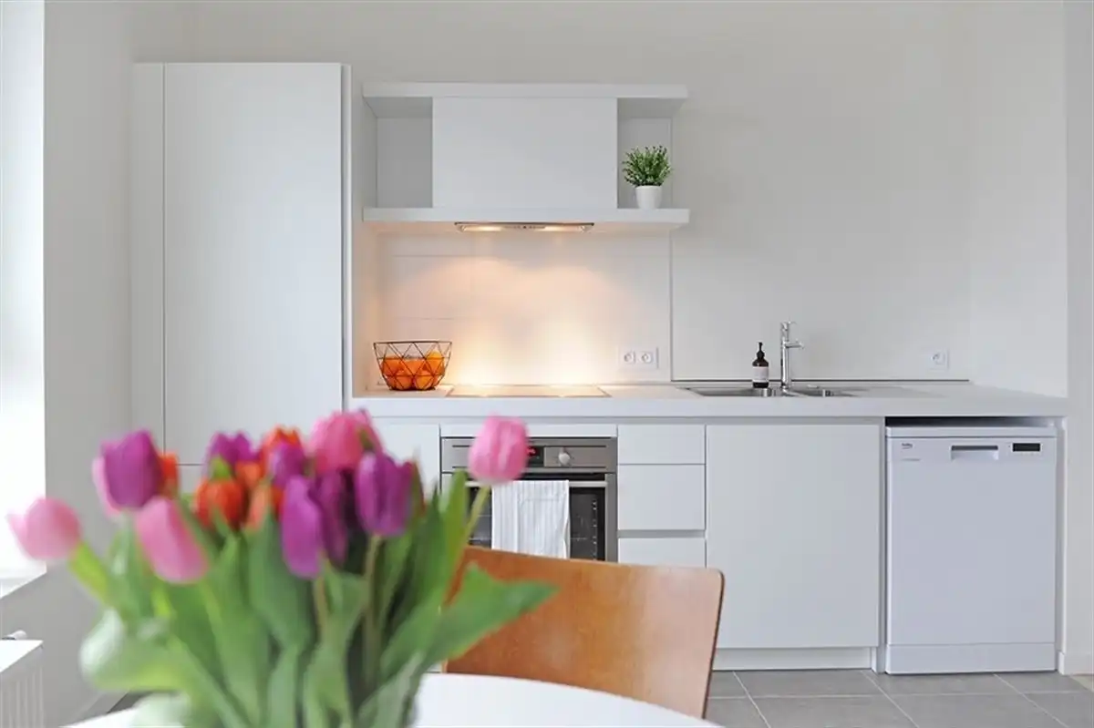 Tof 1 slaapkamer appartement met ruim terras  foto 5