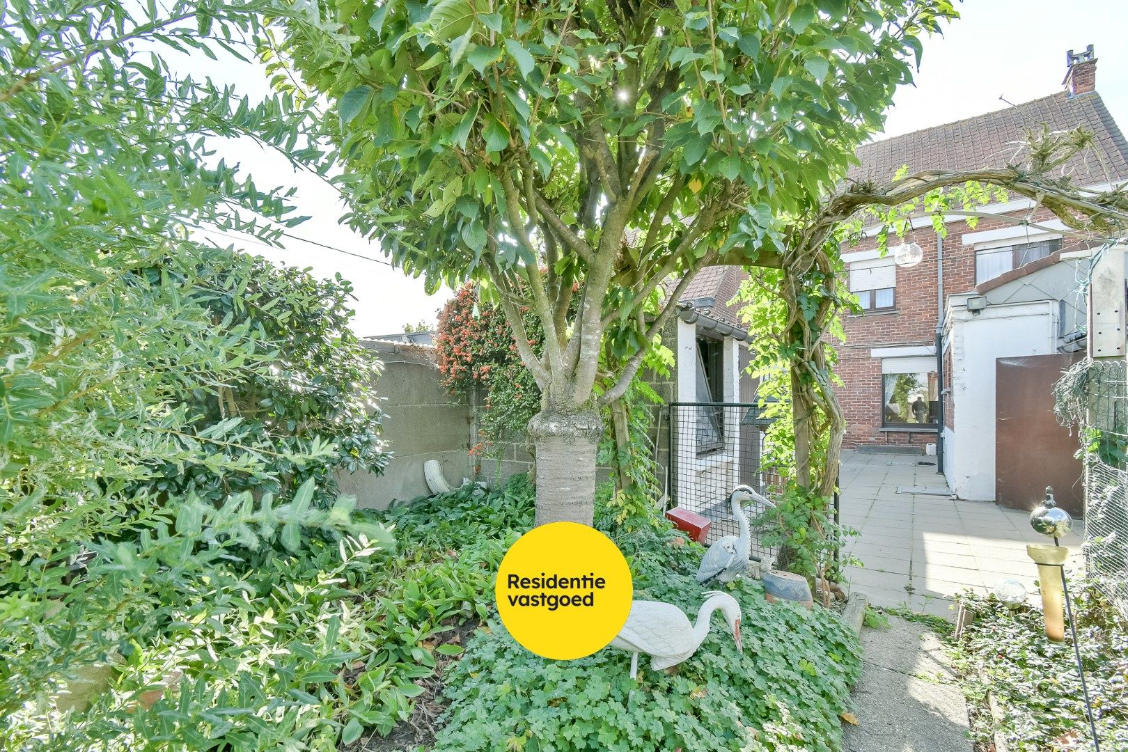 KIJKDAG zaterdag 13/12 van 10u tot 12u, op afspraak! foto 17