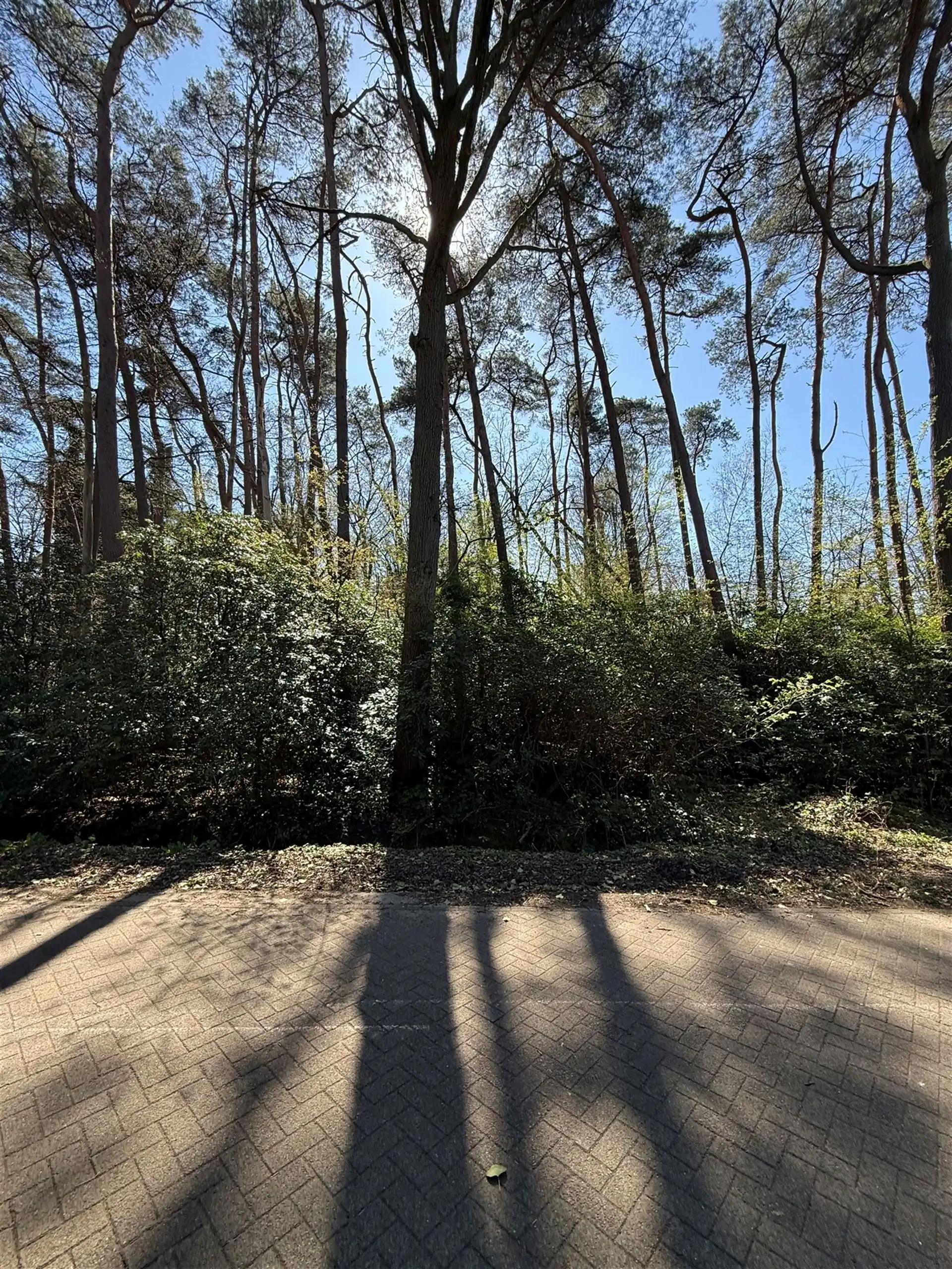 Ruime bouwgrond van 2296 m2 op een schitterende locatie! foto 9