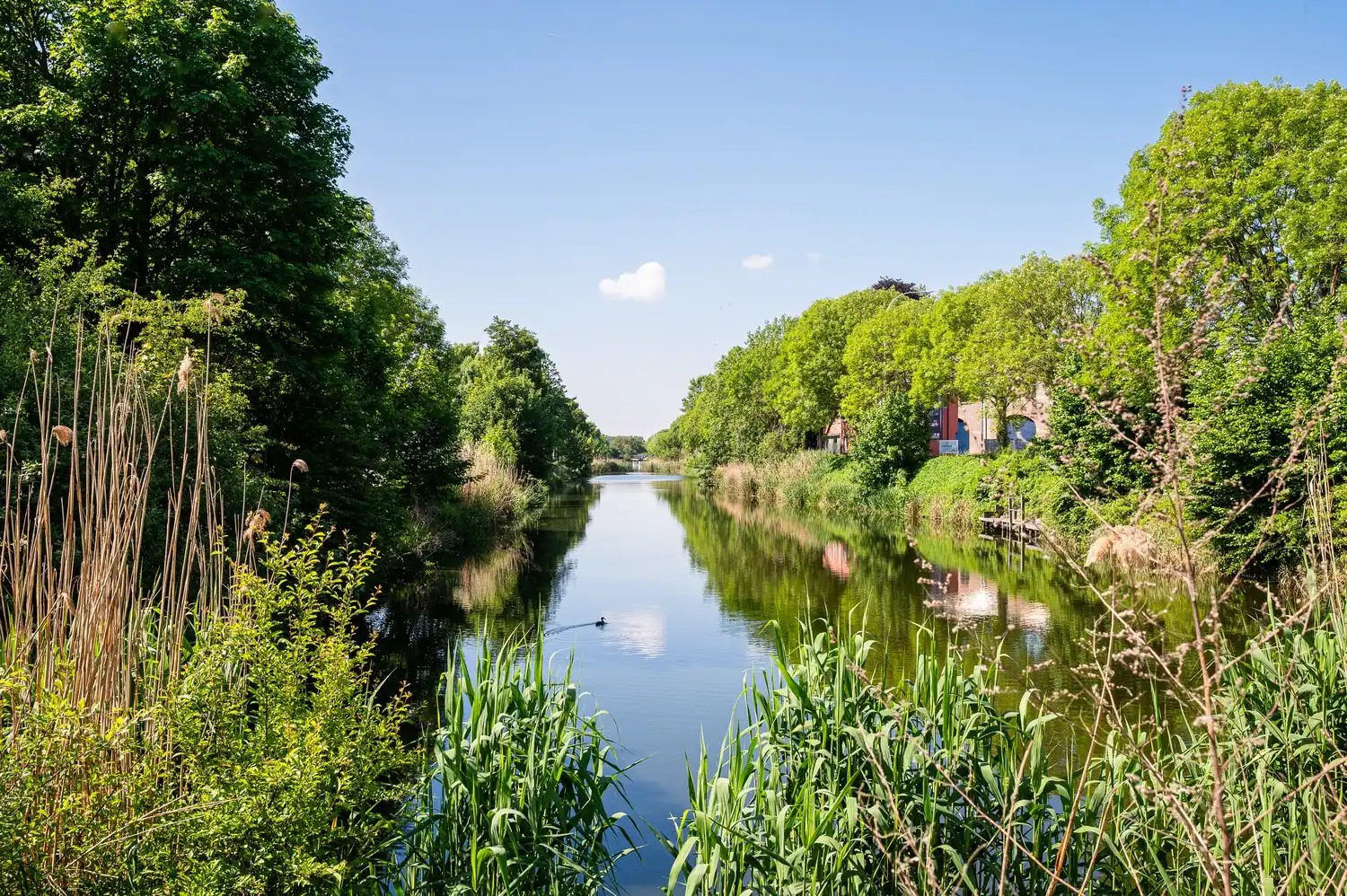 Te renoveren woning met veel potentieel foto 18