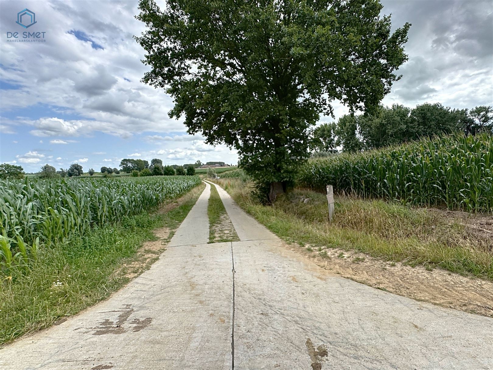 TE KOOP Rustig gelegen WEIDE van 31a30ca in Lierde  foto 6