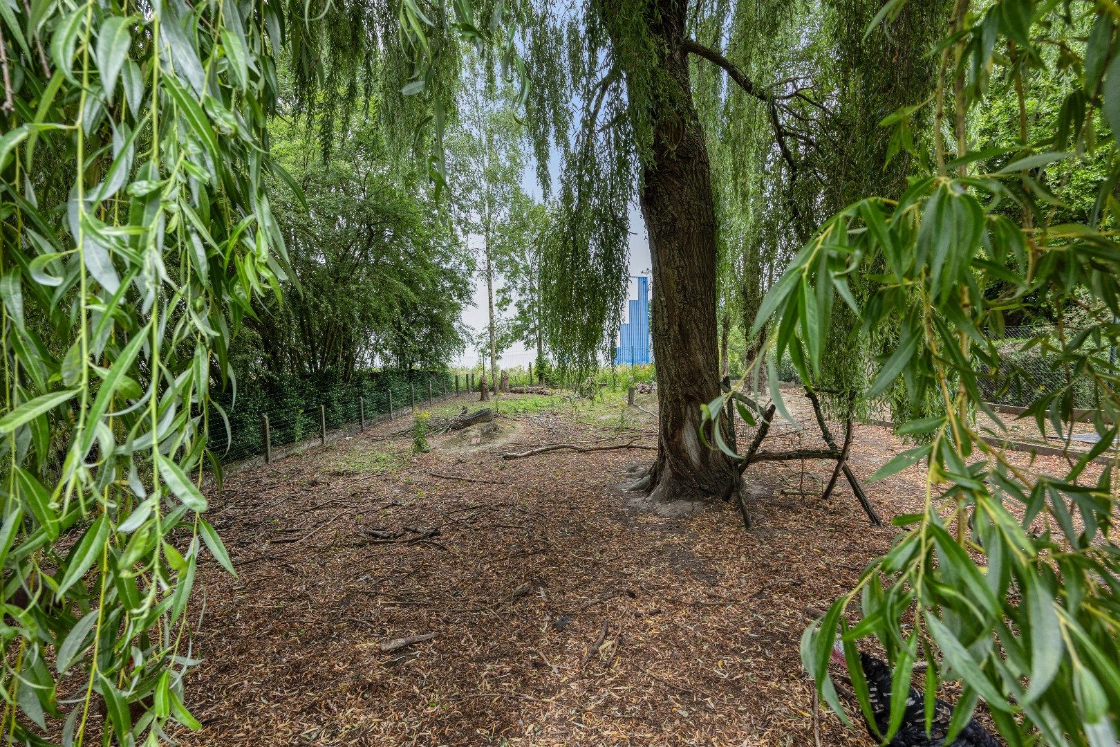 Reusachtige open bebouwing met werkplaats en magazijn! foto 5