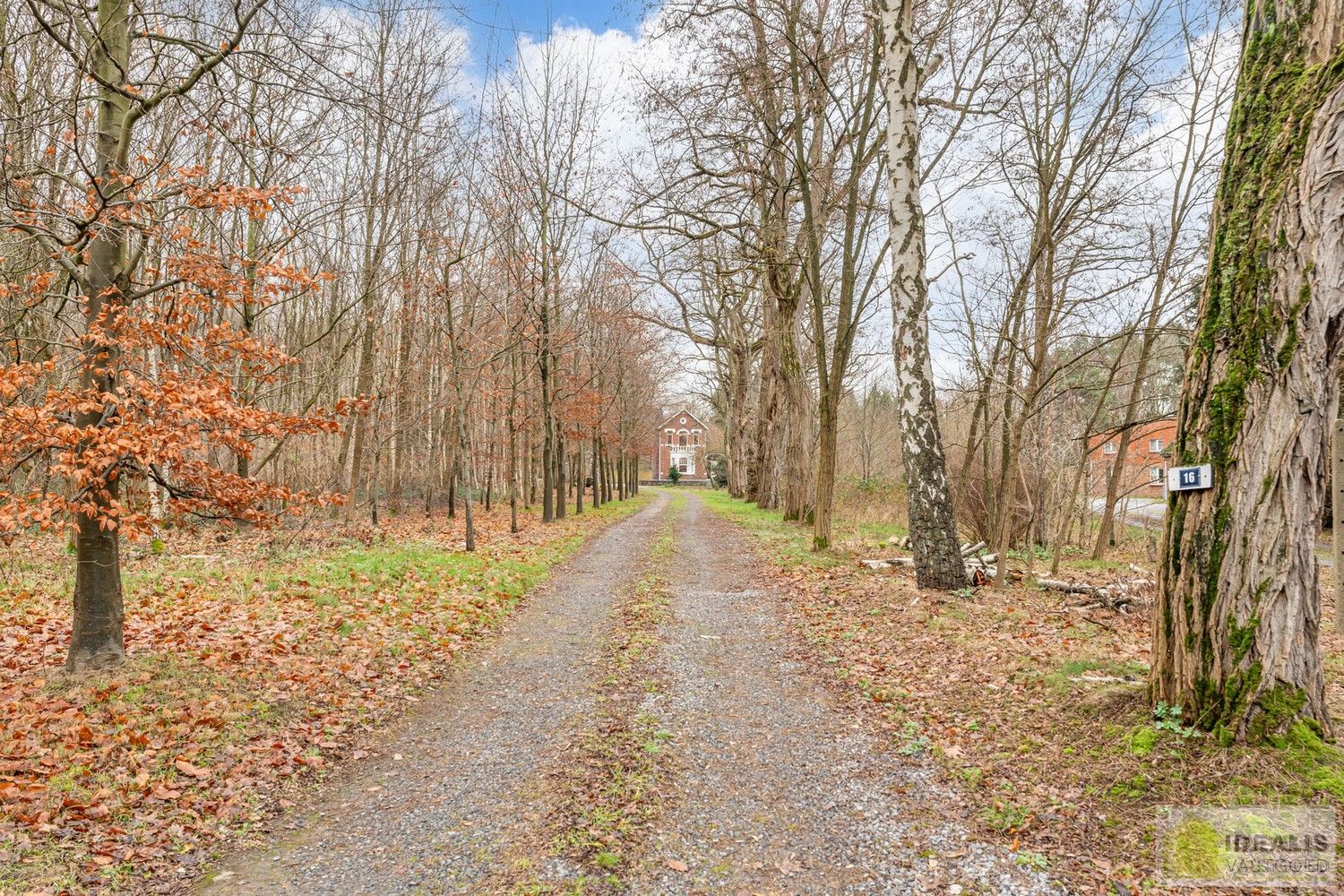 IDEALIS VASTGOED – Ruime te renoveren villa op riant perceel! De villa omvat 198m² netto bewoonbare oppervlakte met een ruime woonkamer en aansluitend uitgeruste keuken, badkamer, 2 grote en 1 kleine slaapkamer, kelder, veranda en 2 garages met sectionale poort van ca. 100m². De villa is gelegen op een prachtig perceel met een oppervlakte van ca. 1,1 hectare (11.000m²)! omgeven door bosgebied! Zeer geschikt voor kandidaten op zoek naar een unieke locatie zeer centraal gelegen, doch volledig omgeven door groen. foto 32