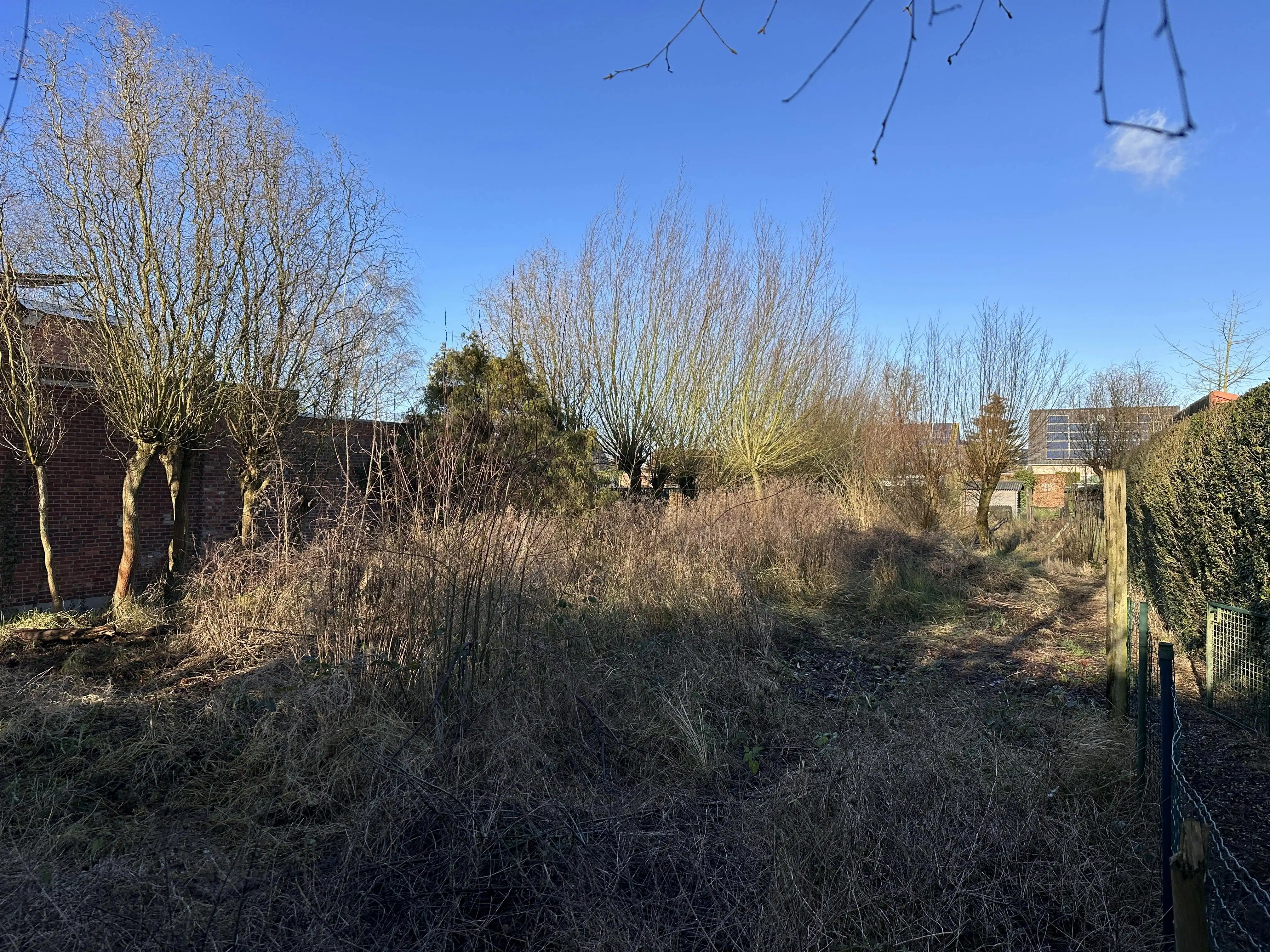 Grond +/- 941m² voor HOB te Kapellen, 15m perceelbreedte foto 5