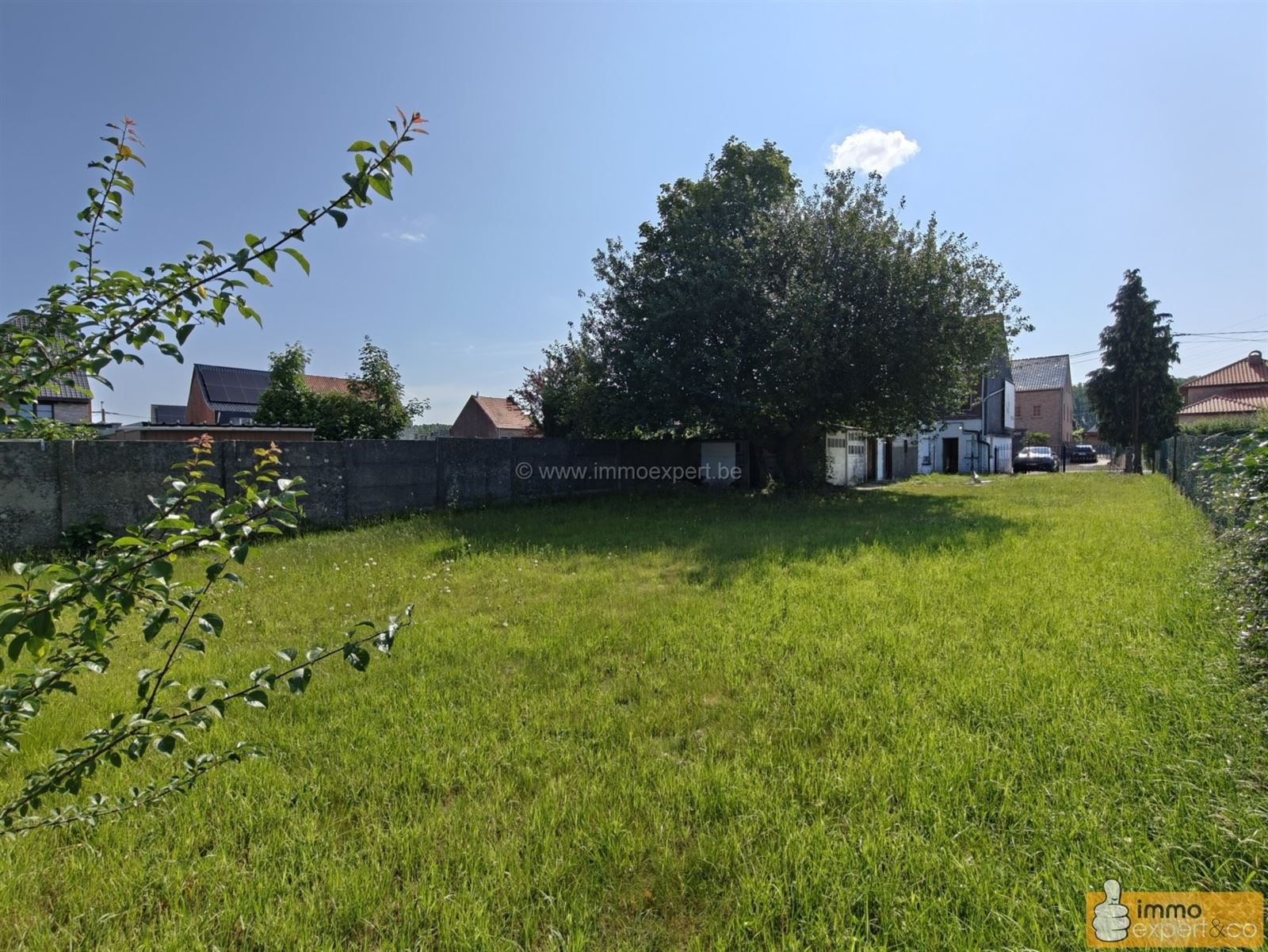 LIEDEKERKE: Landelijk gelegen te renoveren woning foto 9