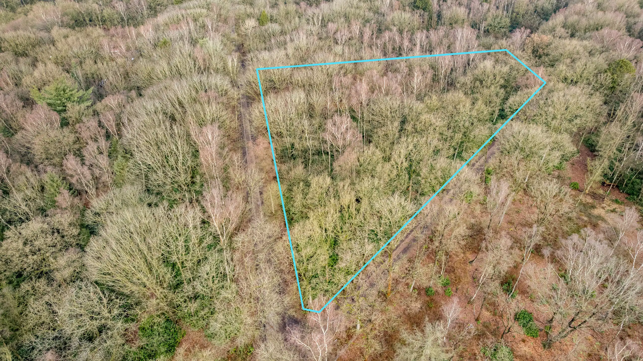 Perceel bosgrond te Gooreind! foto 2