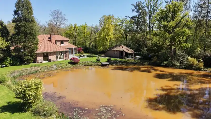 Exclusief gelegen villa van 345m² op 30 are met grote vijver foto 3