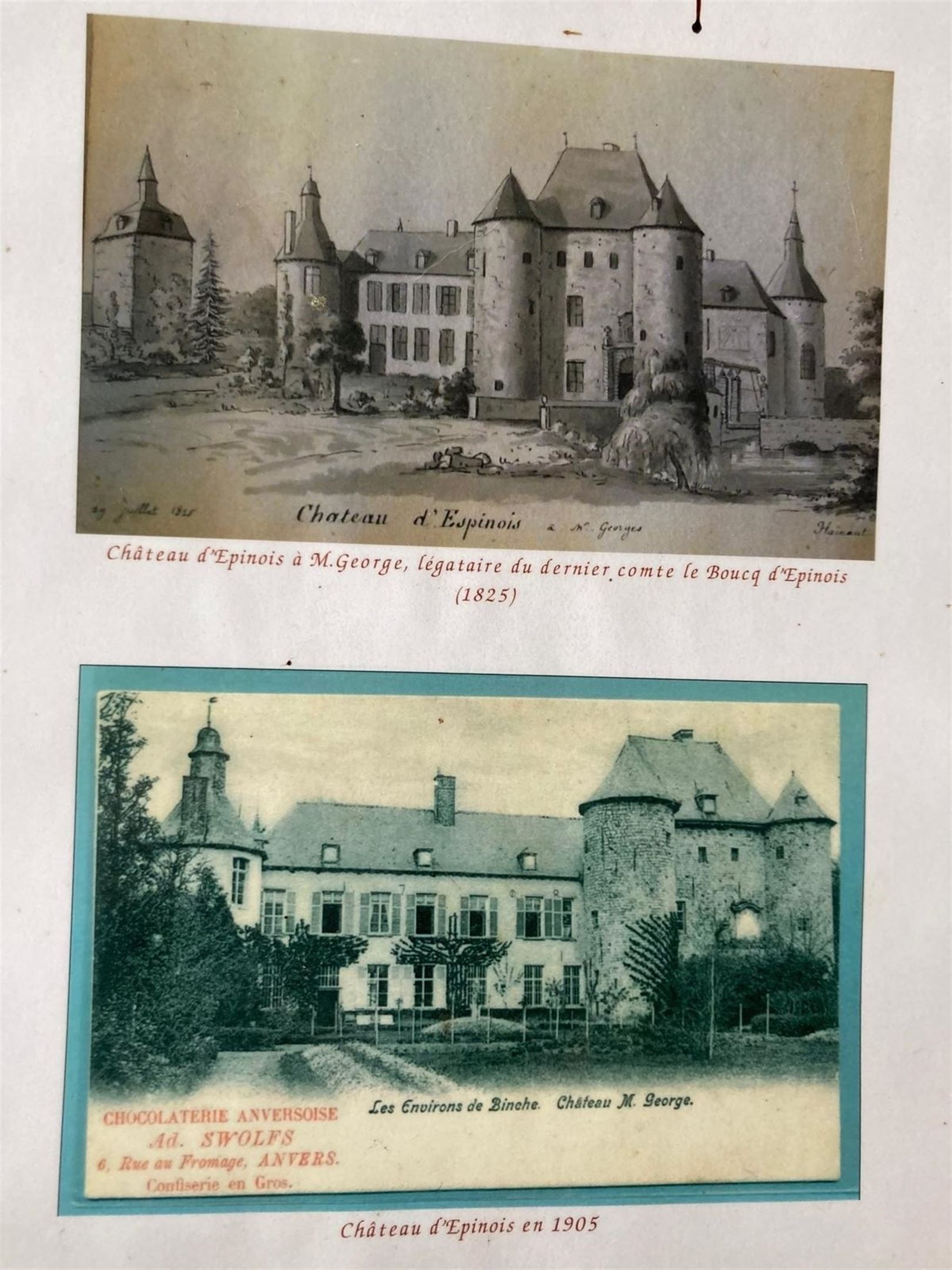 Château d'Epinois met toren, en met dépendance logies. foto 38