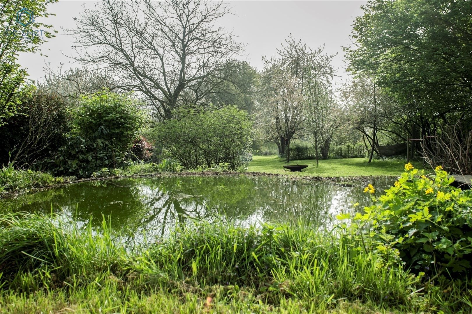 De verborgen oase van rust in het Pajottenland  foto 6