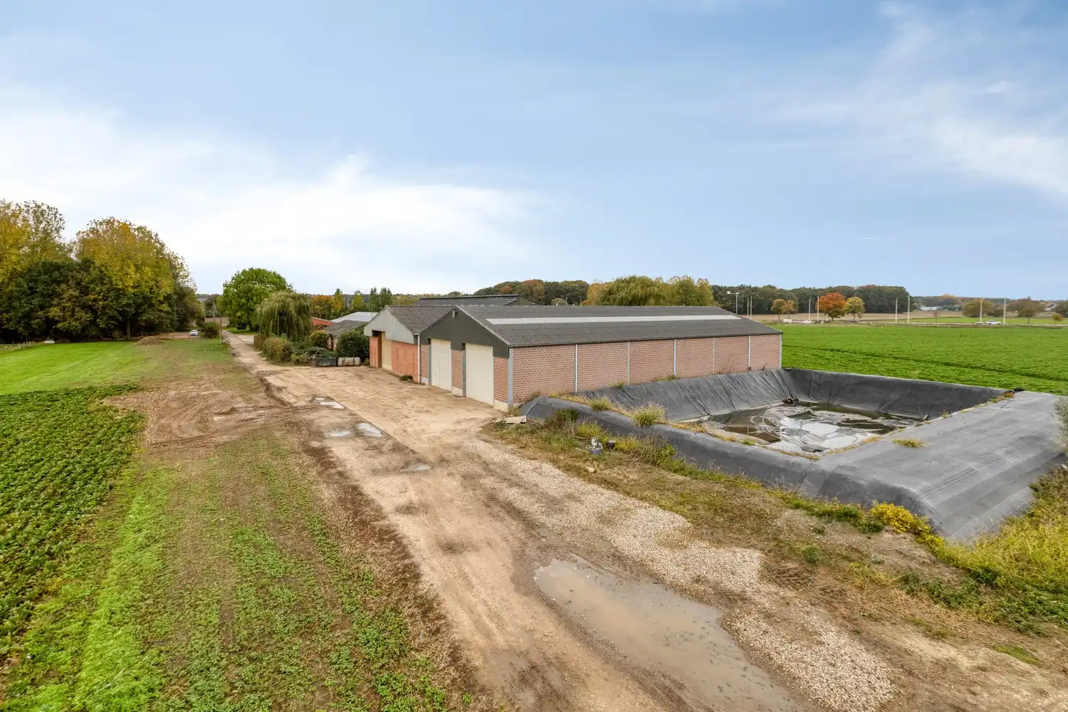 Prachtige boerderij op 1,4 hectare grond in Rekem/Lanaken foto 5