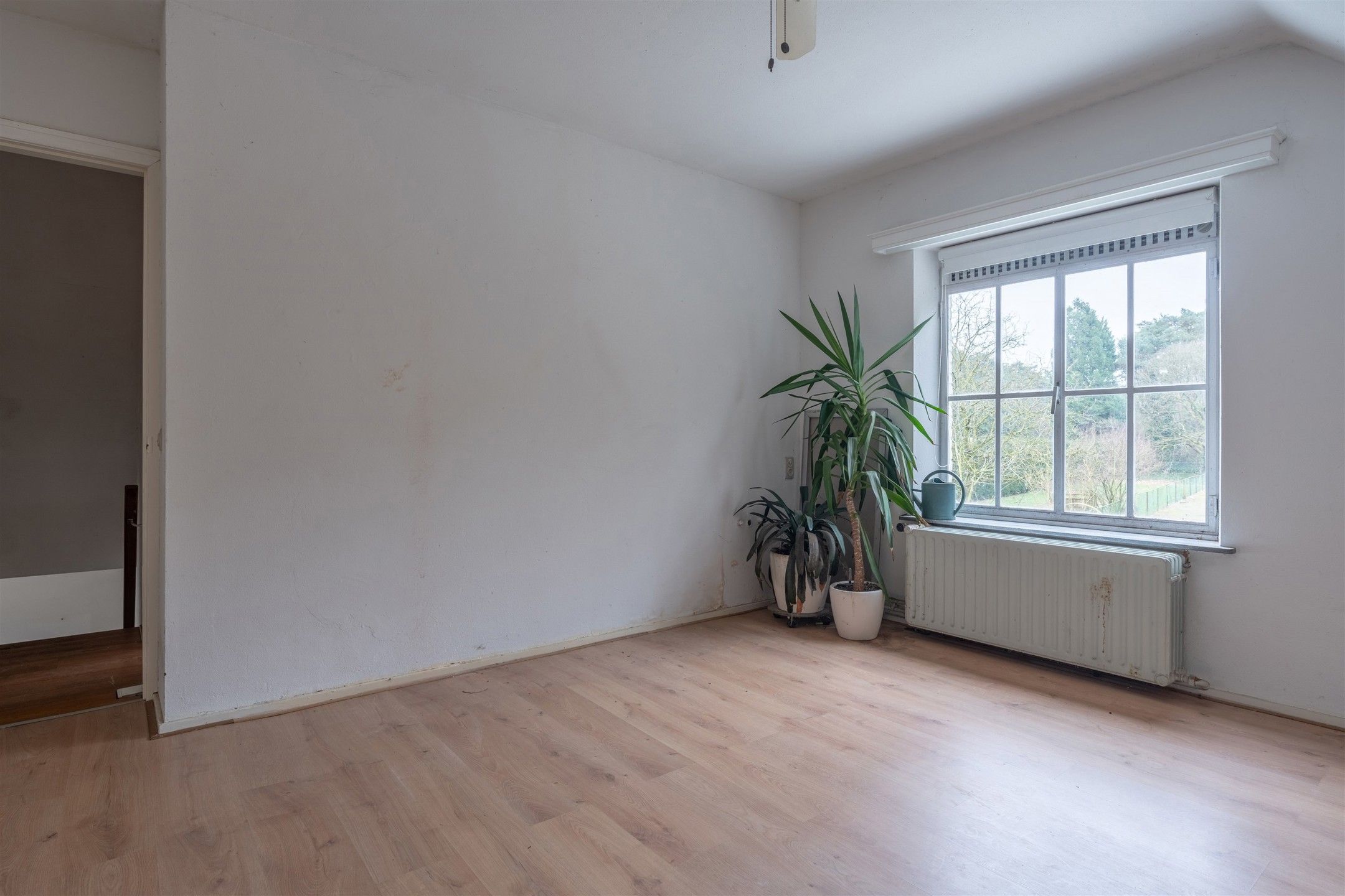 Charmante woning met veel potentieel op perceel van ± 4.100m². foto 16