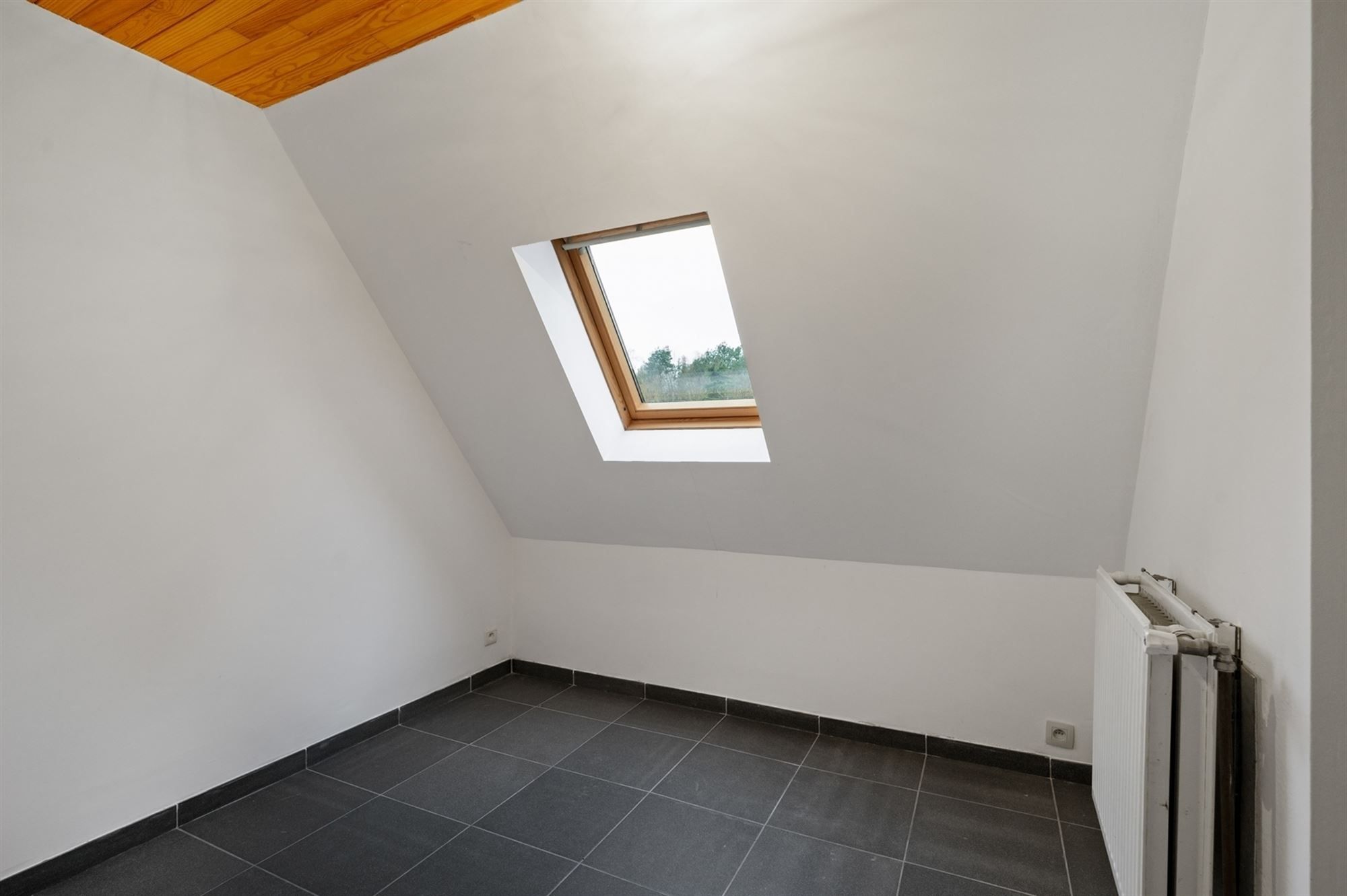 Exploitatiewoning op een perceel van + 1HA, volledig omgeven door groen, te Bonheiden. foto 14