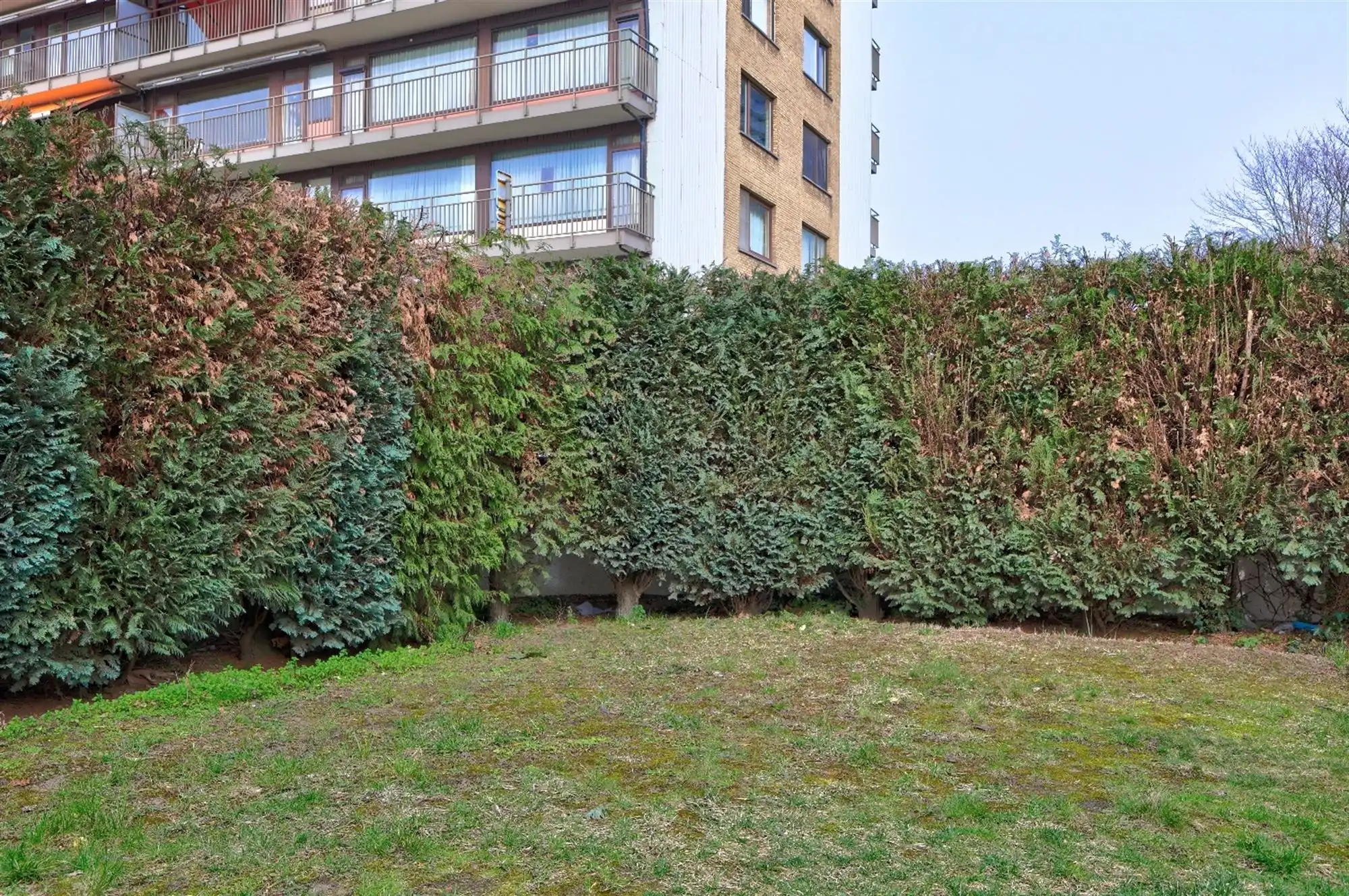 Gelijkvloers appartement met 4 slaapkamers en tuin in centrum Wilrijk foto 9