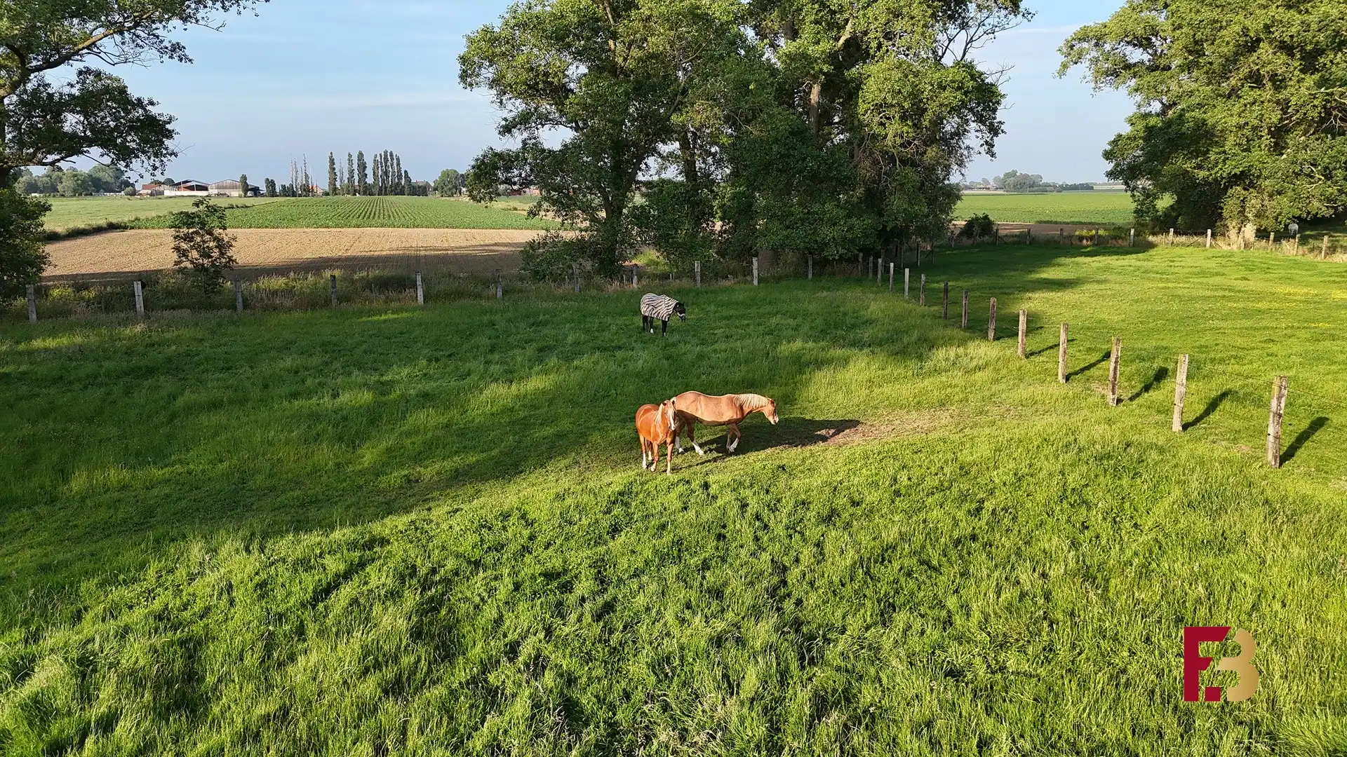 Wonen tussen je paarden, complete hippische eigendom op ca. 1,2ha foto 28