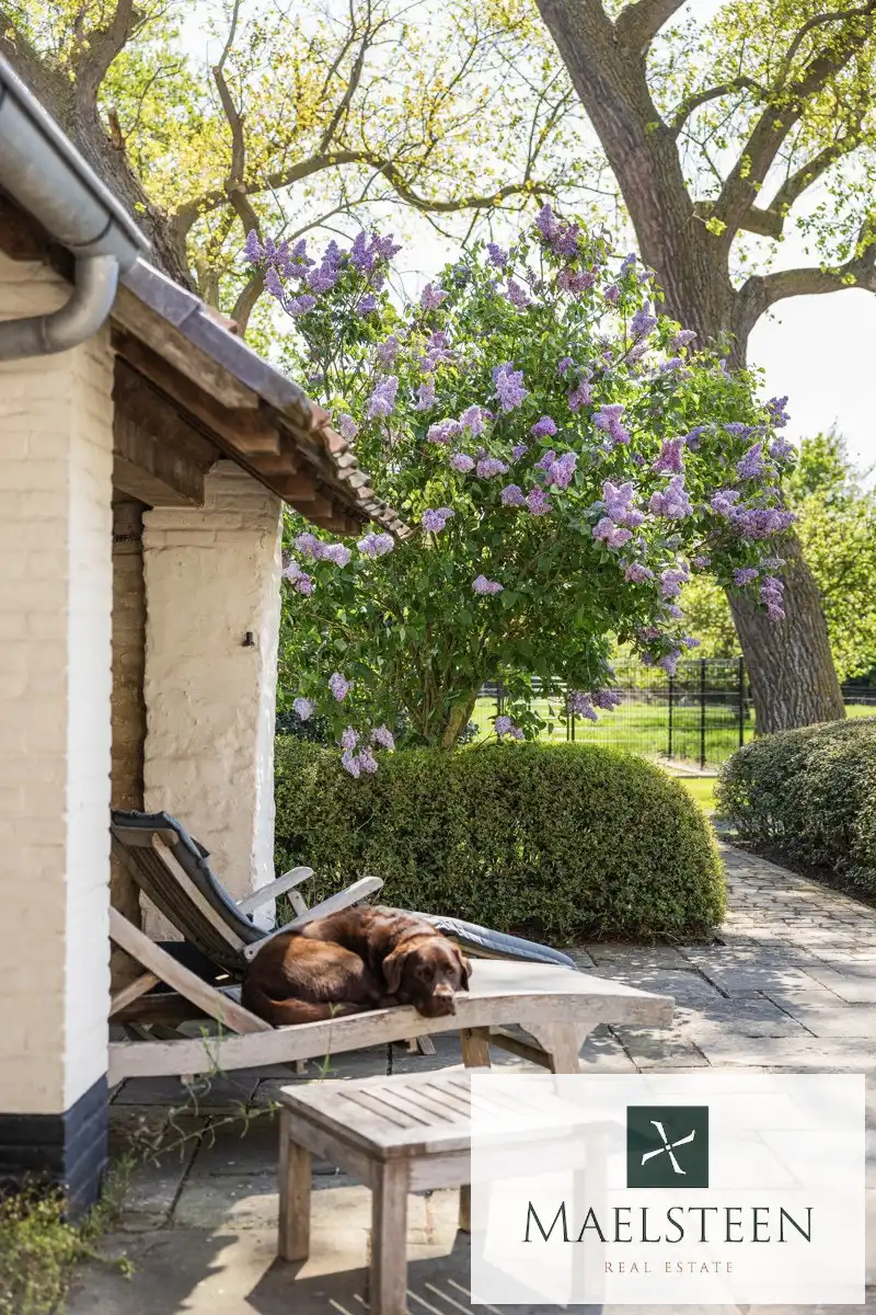 Monumentale hoeve op fietsafstand van Brugge  foto 9