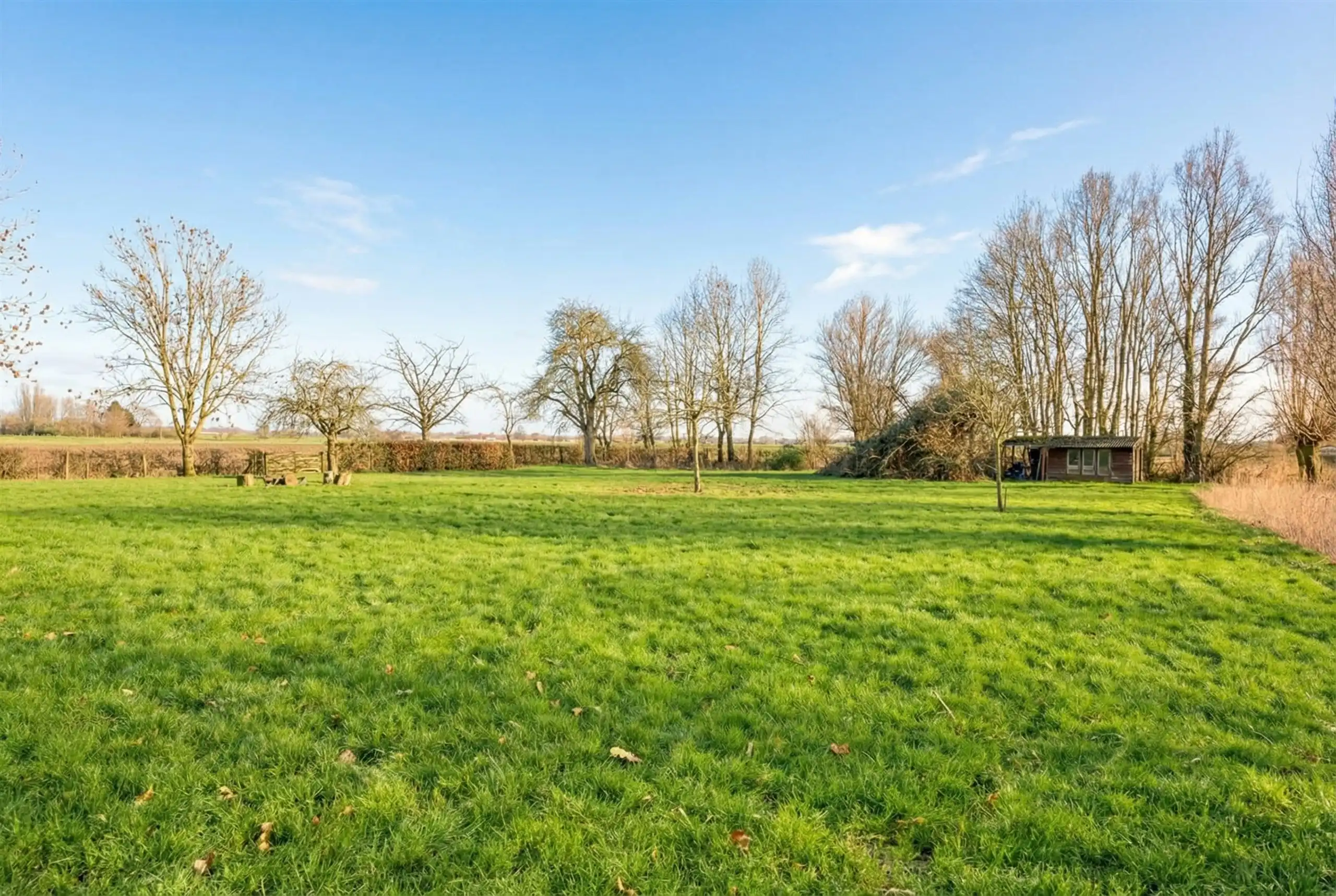 First Sale: vr 27/2 (16.00-20.00) & za 28/2 (9.00 - 17.00) foto 7