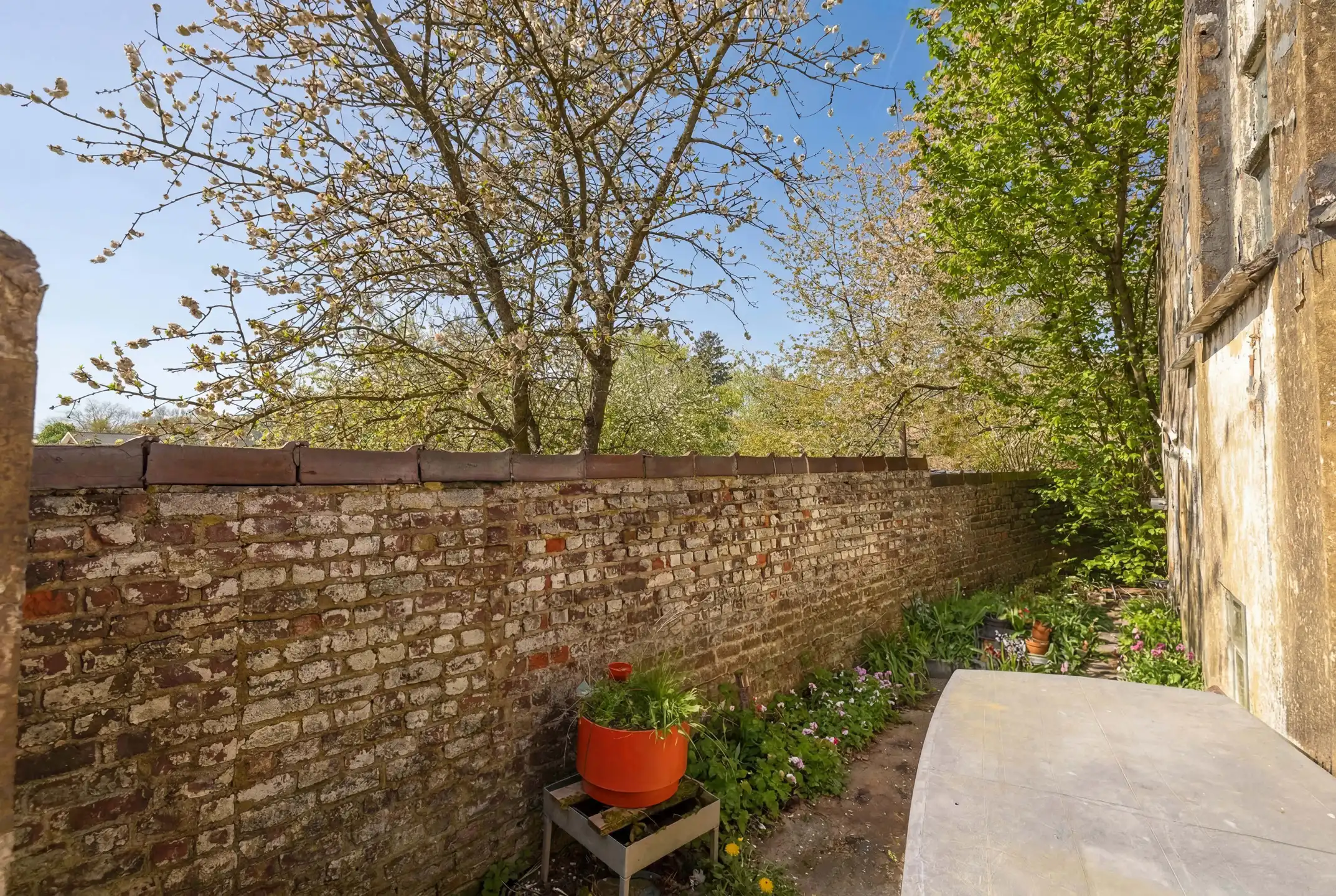 Te renoveren woonhuis met winkel foto 13