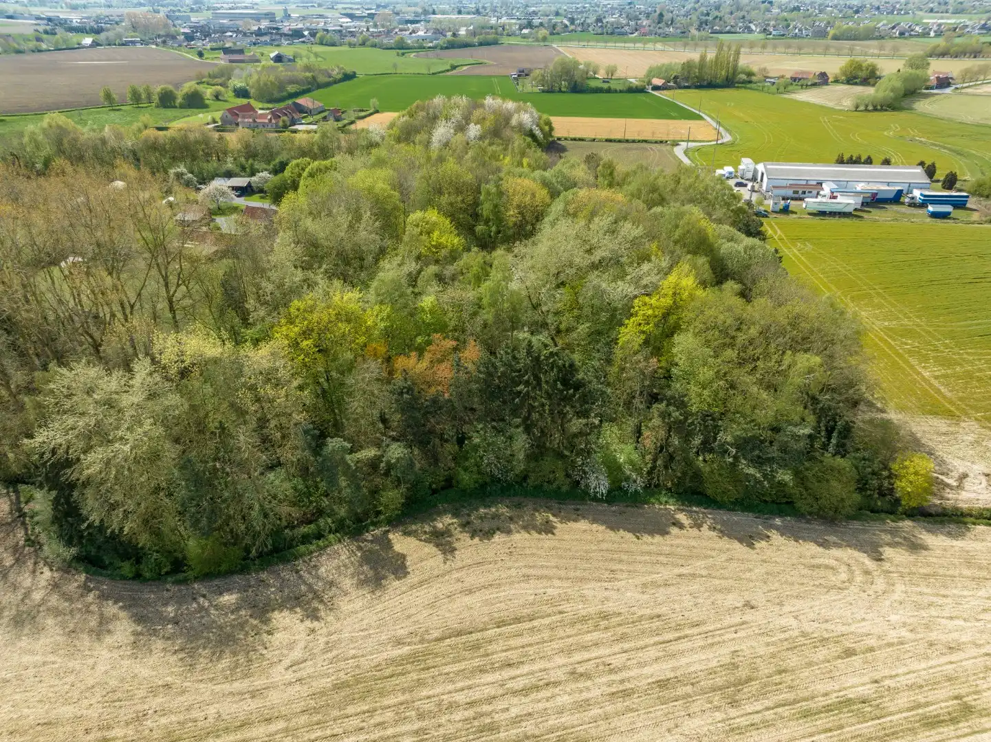 Exclusieve alleenstaande woning te koop in het idyllische en landelijke Kooigem foto 22