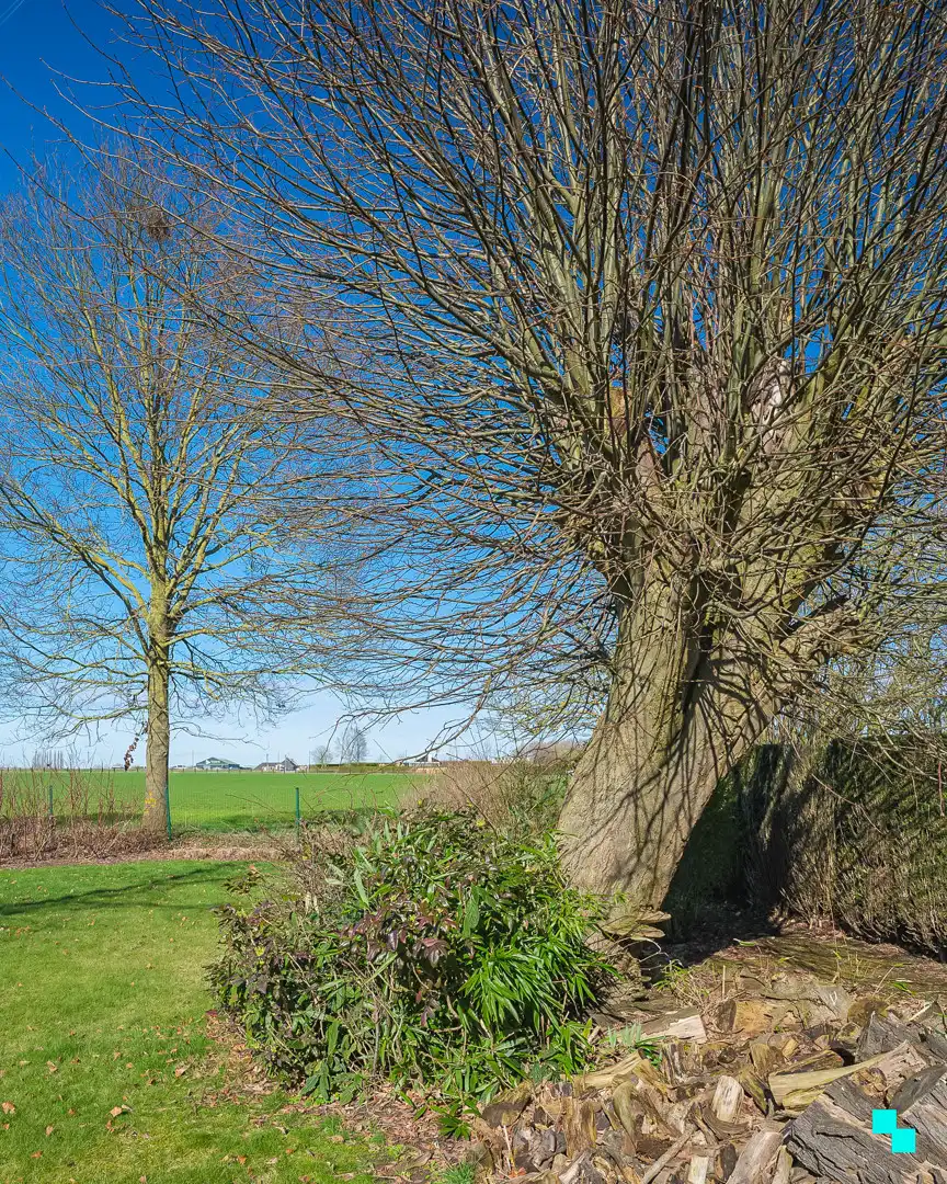 Charmante bungalow in het groene Oosterzele foto 33