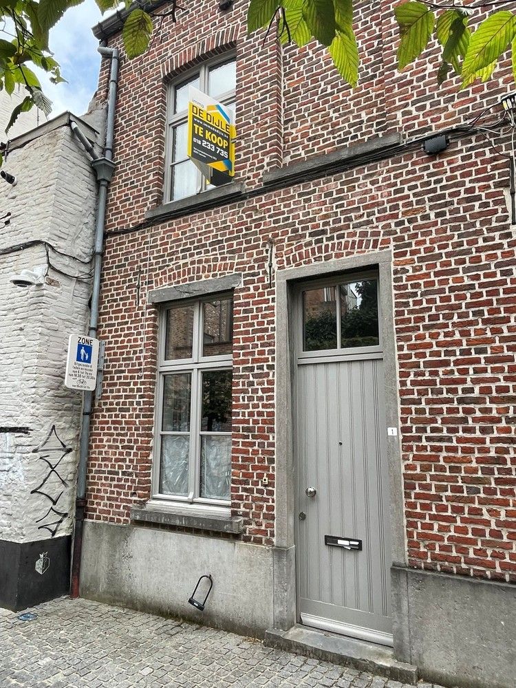 Hoofdfoto van de publicatie: Gezellige instapklare woning centrum Leuven