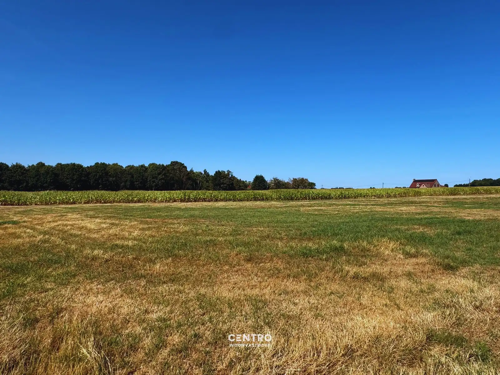 Idyllisch gelegen hoeve op circa 1 hectare te Maldegem! foto 10