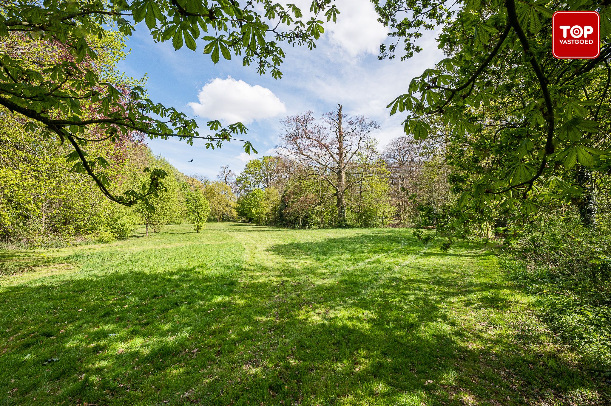 Instapklaar 2-slaapkamer appartement met groot terras en zicht op een prachtig park. foto 17