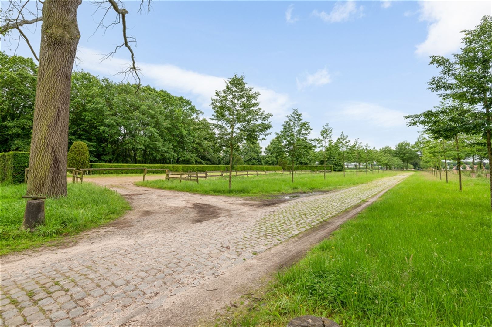 Kantoor in koetswoning op het prachtige kasteeldomein Belvédère foto 34